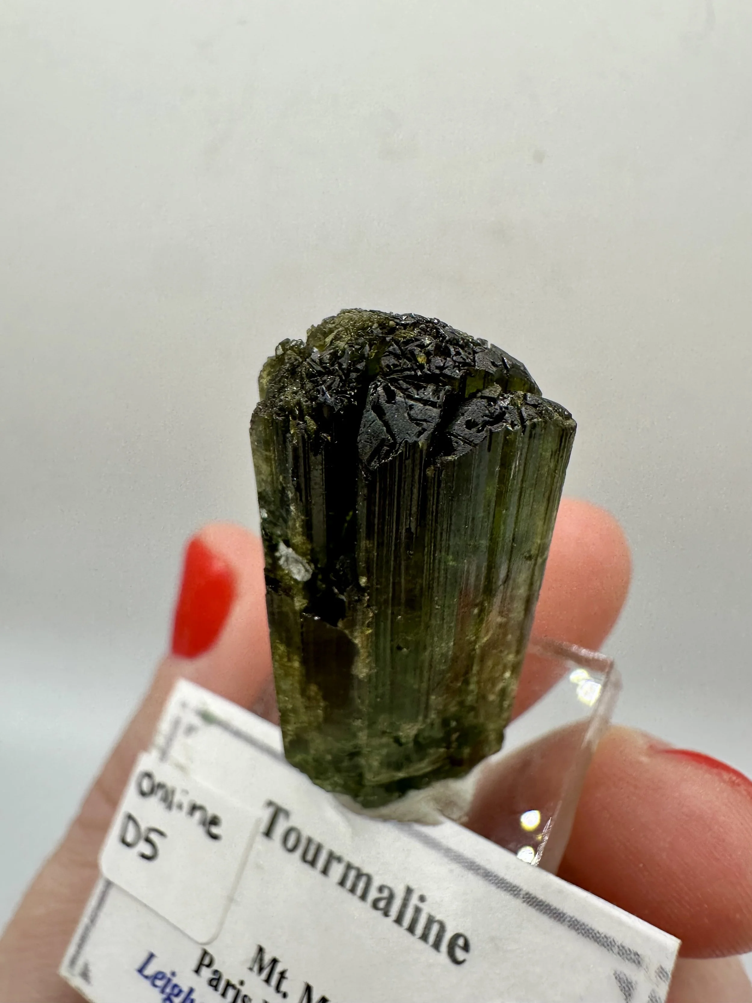 Photo Apr 04 2026, 2 47 27 PM.jpg