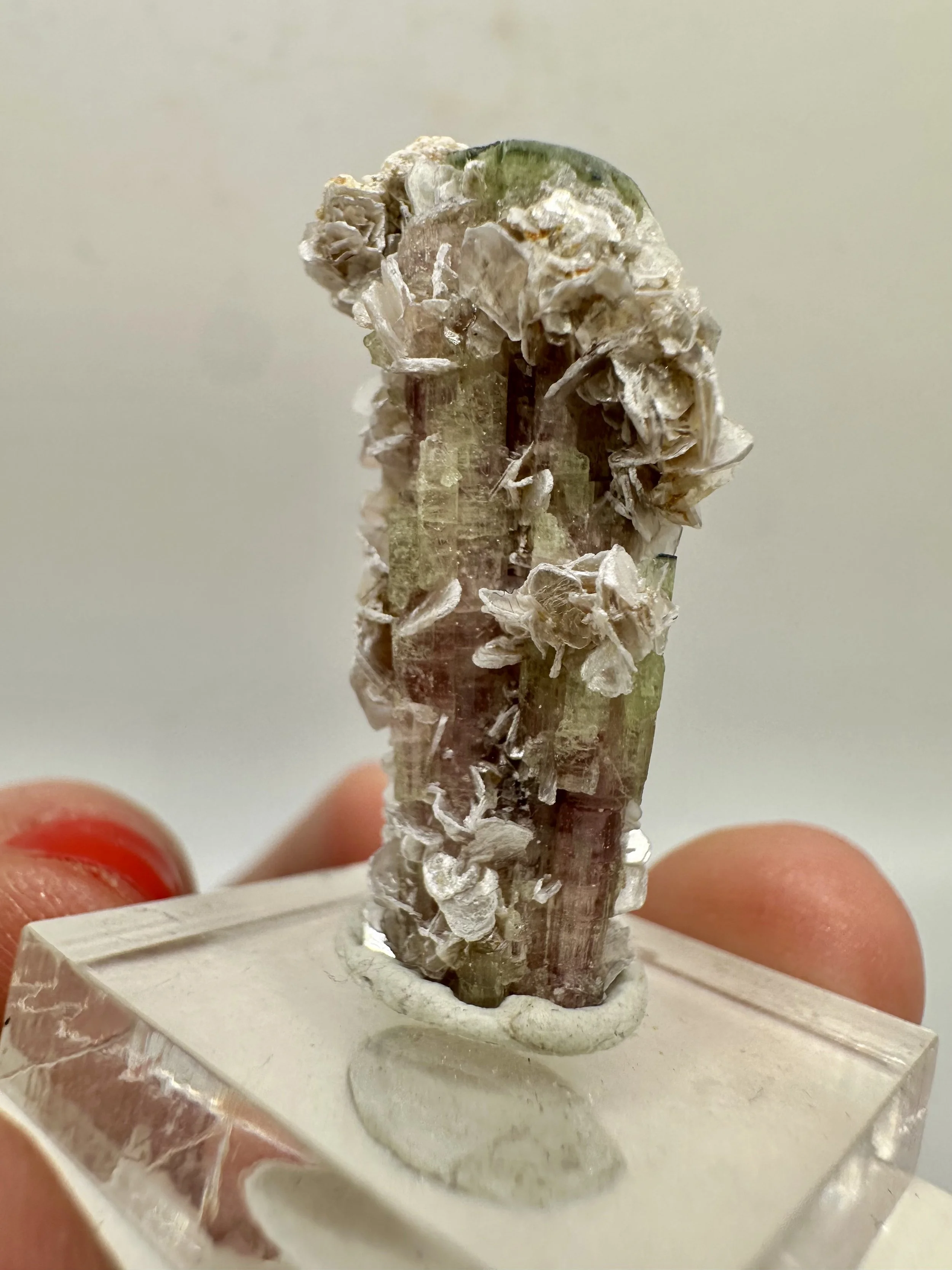 Photo Apr 04 2026, 2 52 52 PM.jpg