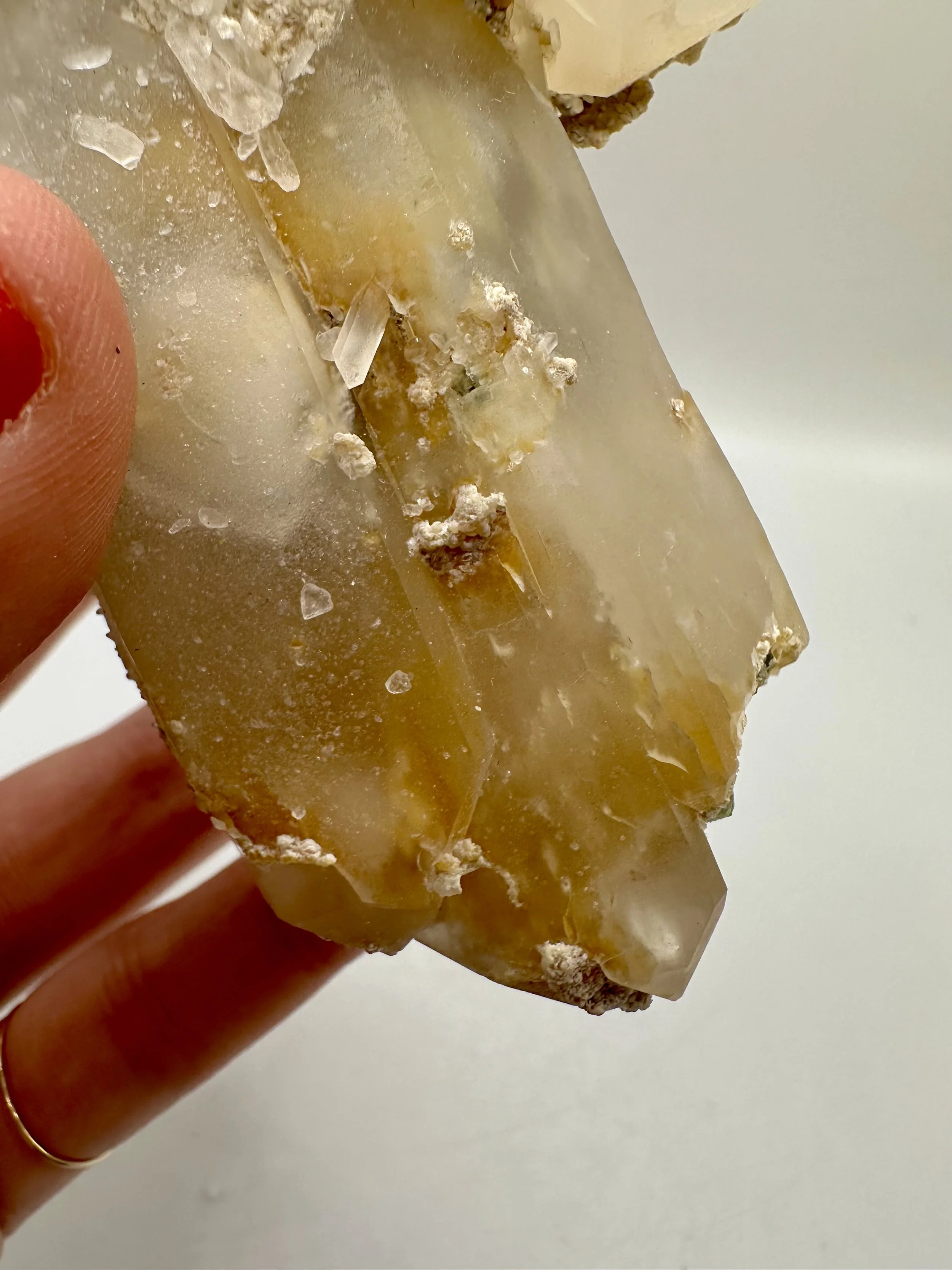 Photo Apr 04 2026, 2 42 51 PM.jpg