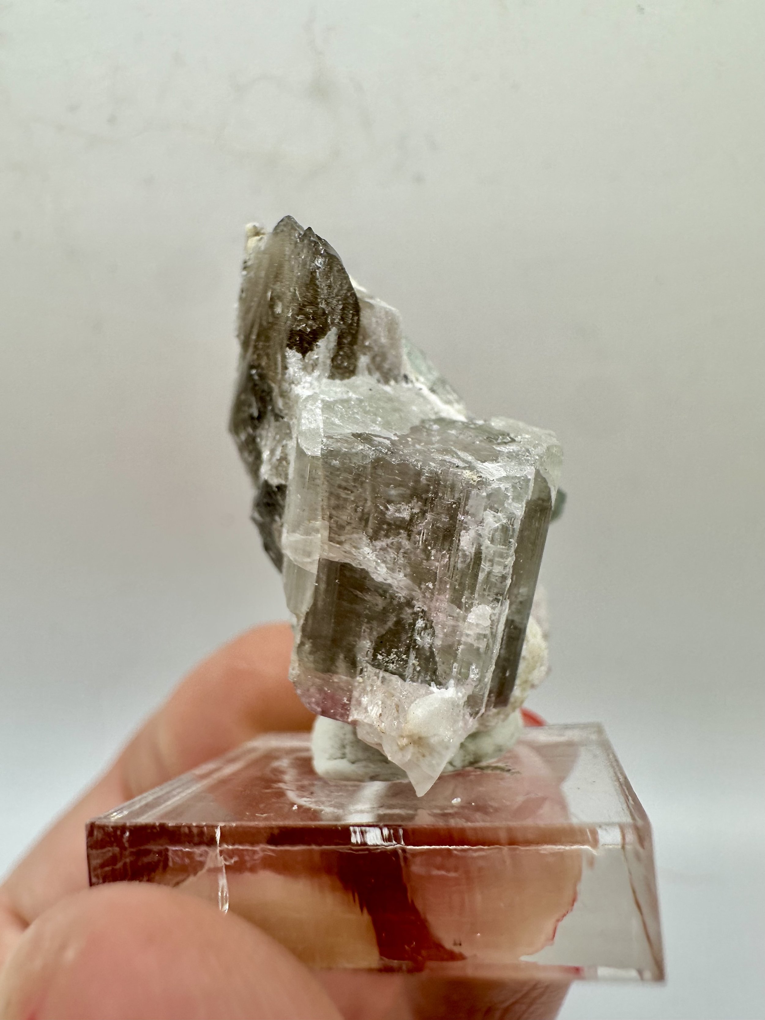 Photo Apr 04 2026, 2 54 28 PM.jpg