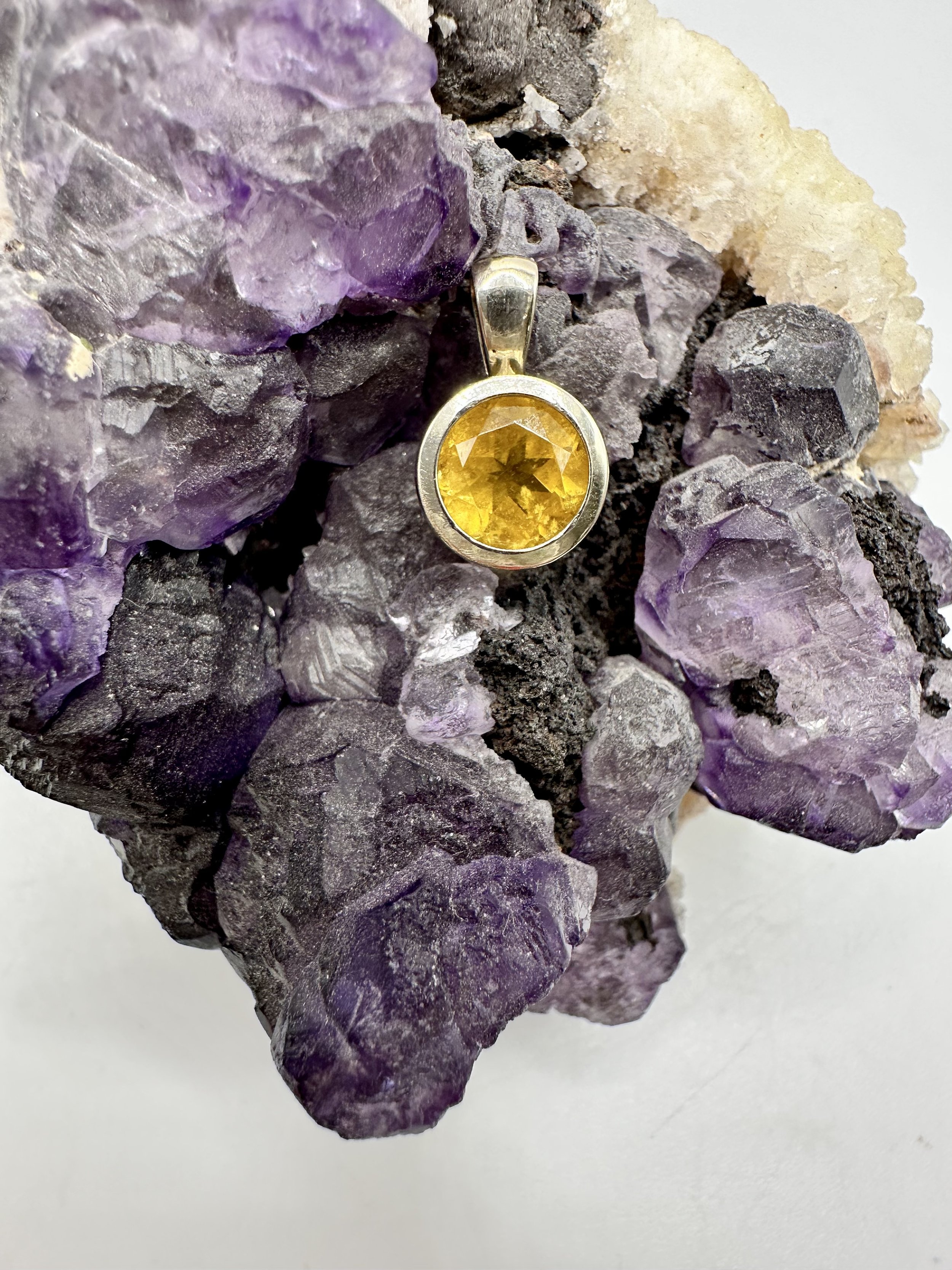 Photo Apr 04 2026, 12 38 01 PM.jpg