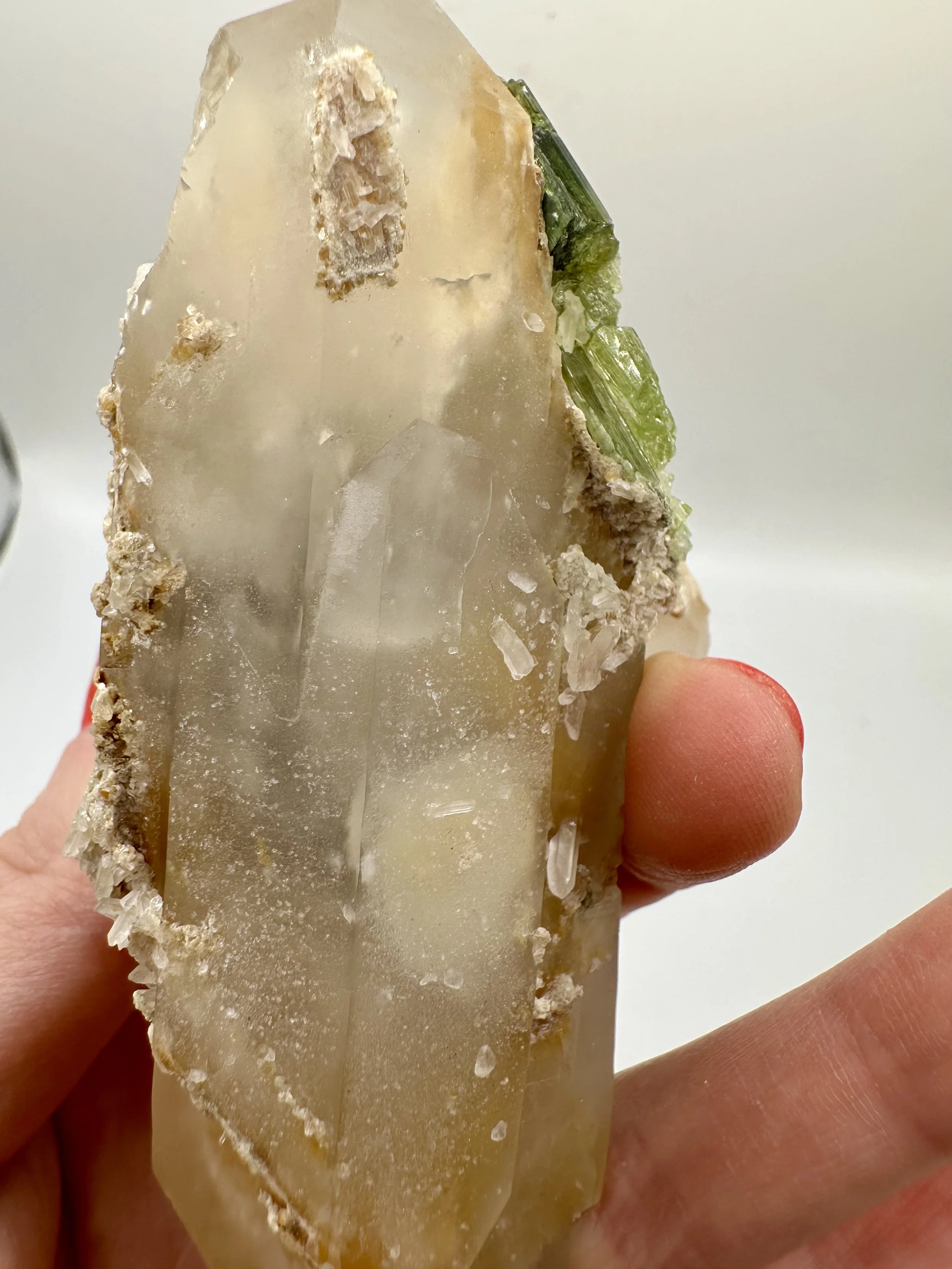 Photo Apr 04 2026, 2 43 17 PM.jpg