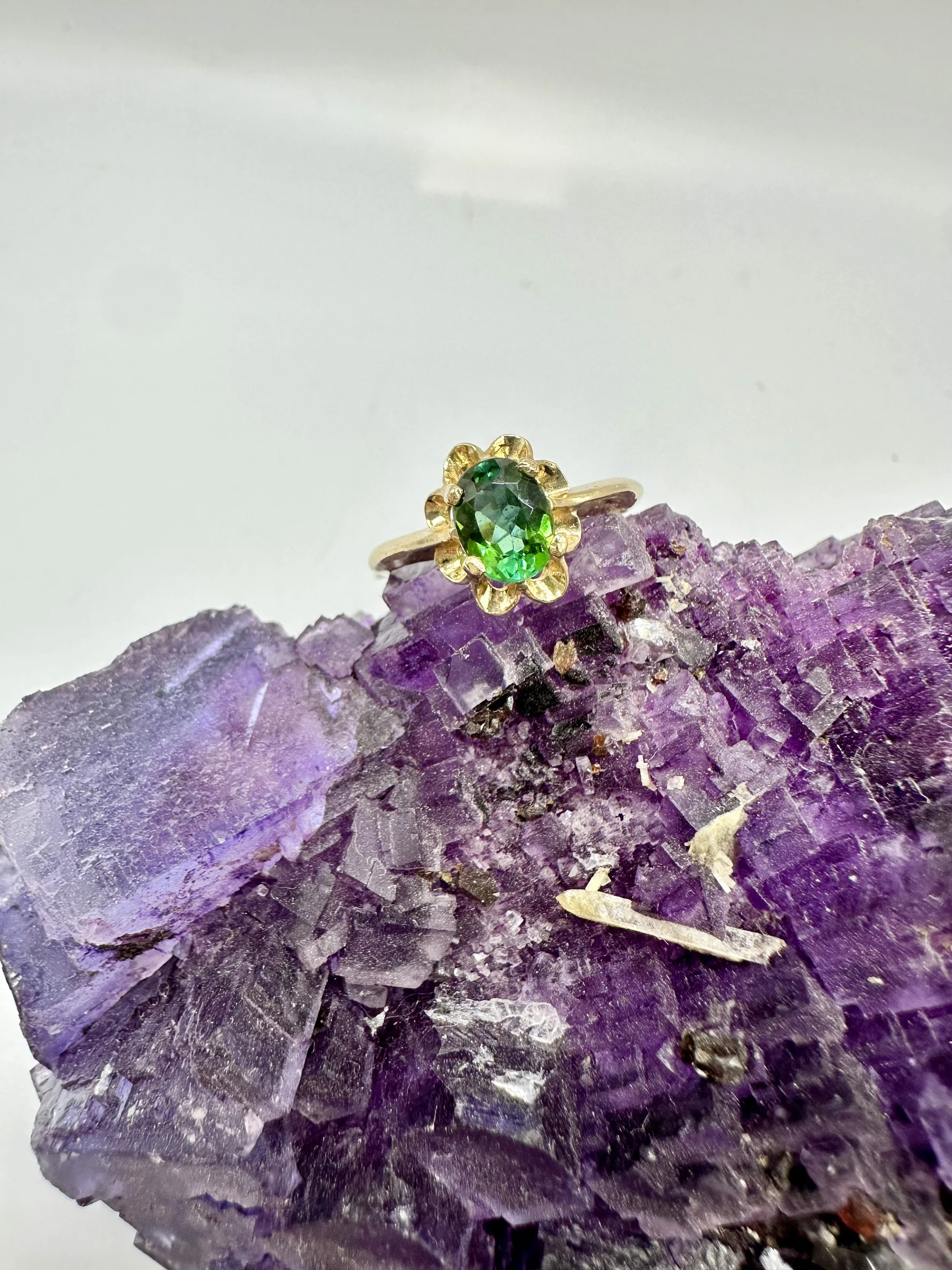 Photo Jan 10 2026, 3 31 37 PM.jpg