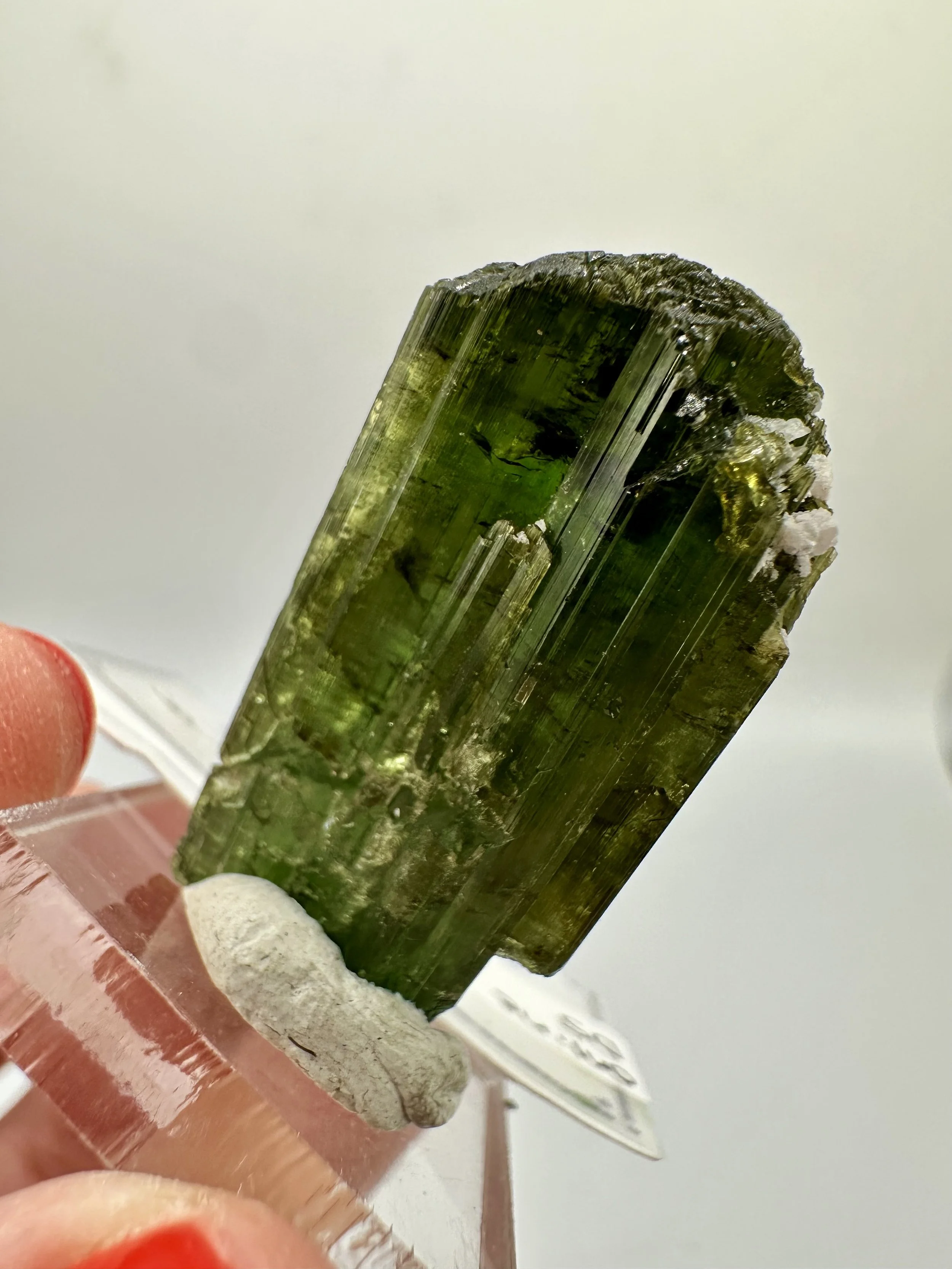 Photo Apr 04 2026, 2 47 14 PM.jpg