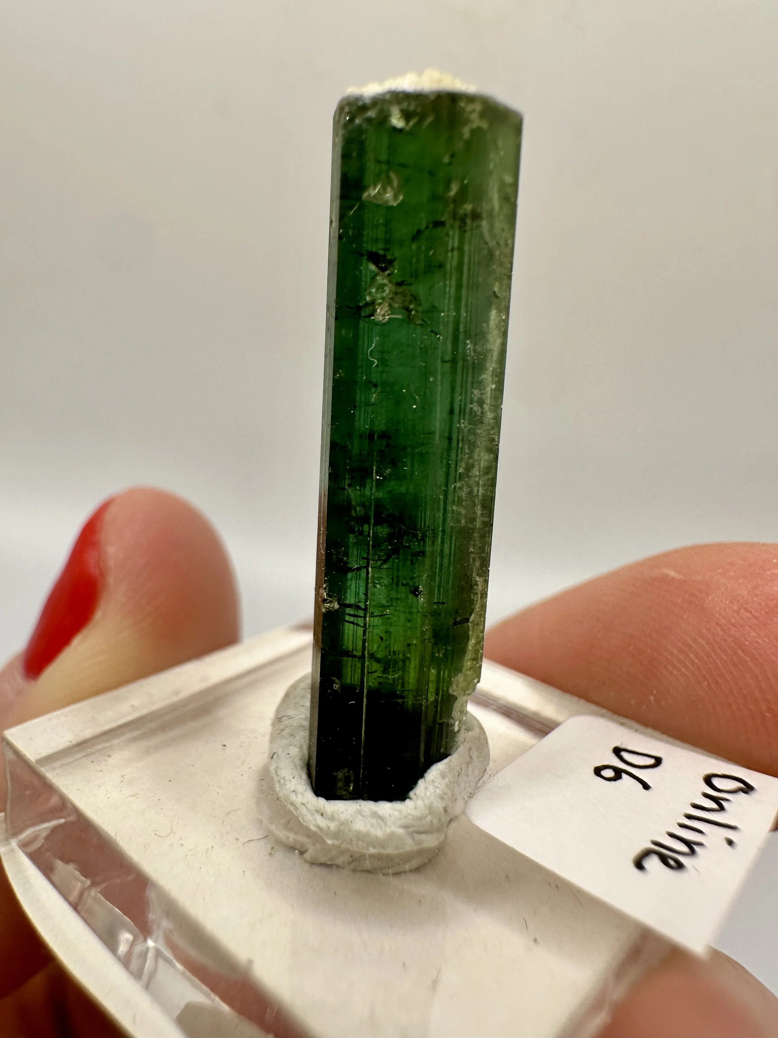 Photo Apr 04 2026, 2 48 52 PM.jpg