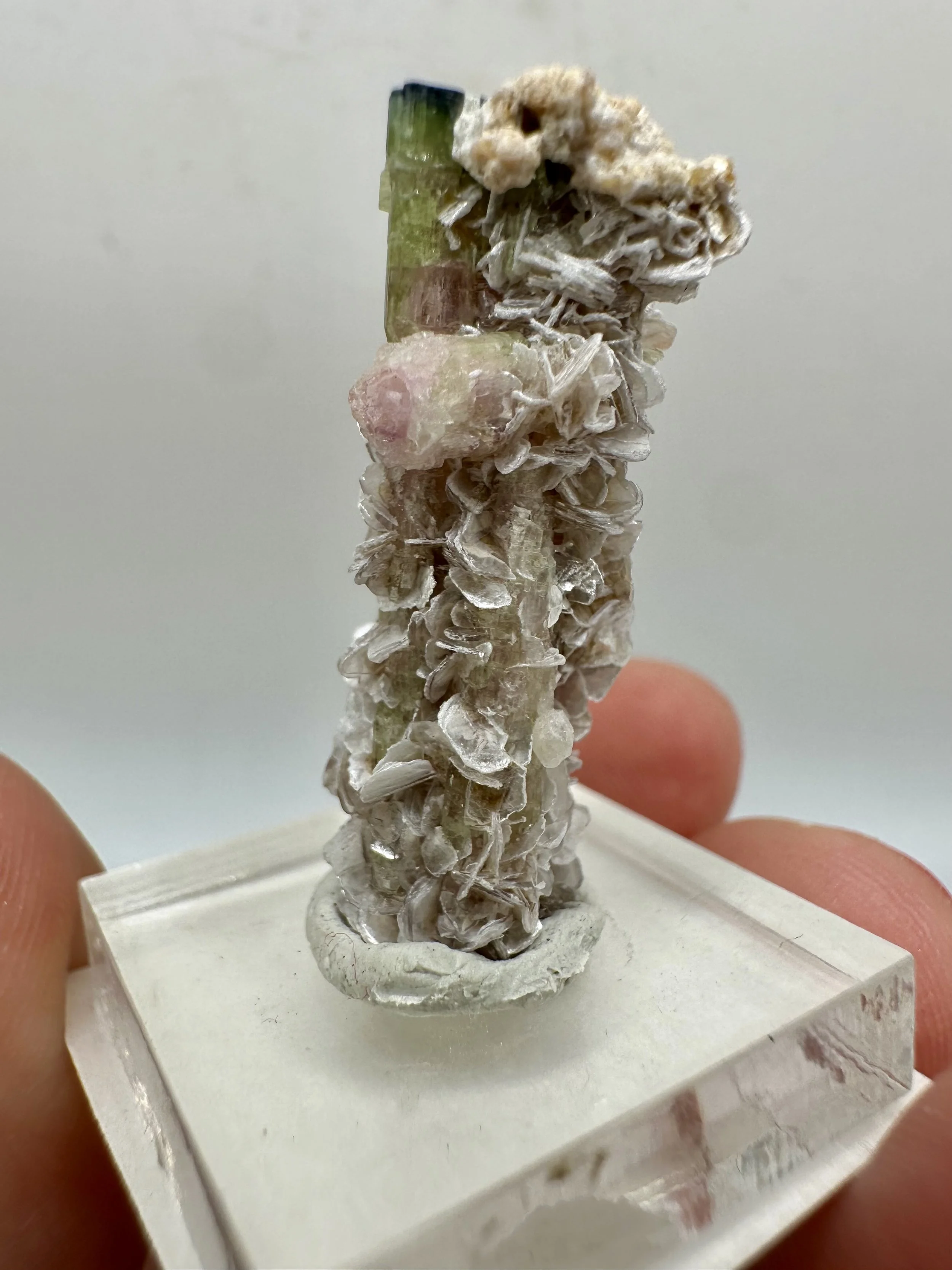 Photo Apr 04 2026, 2 52 30 PM.jpg