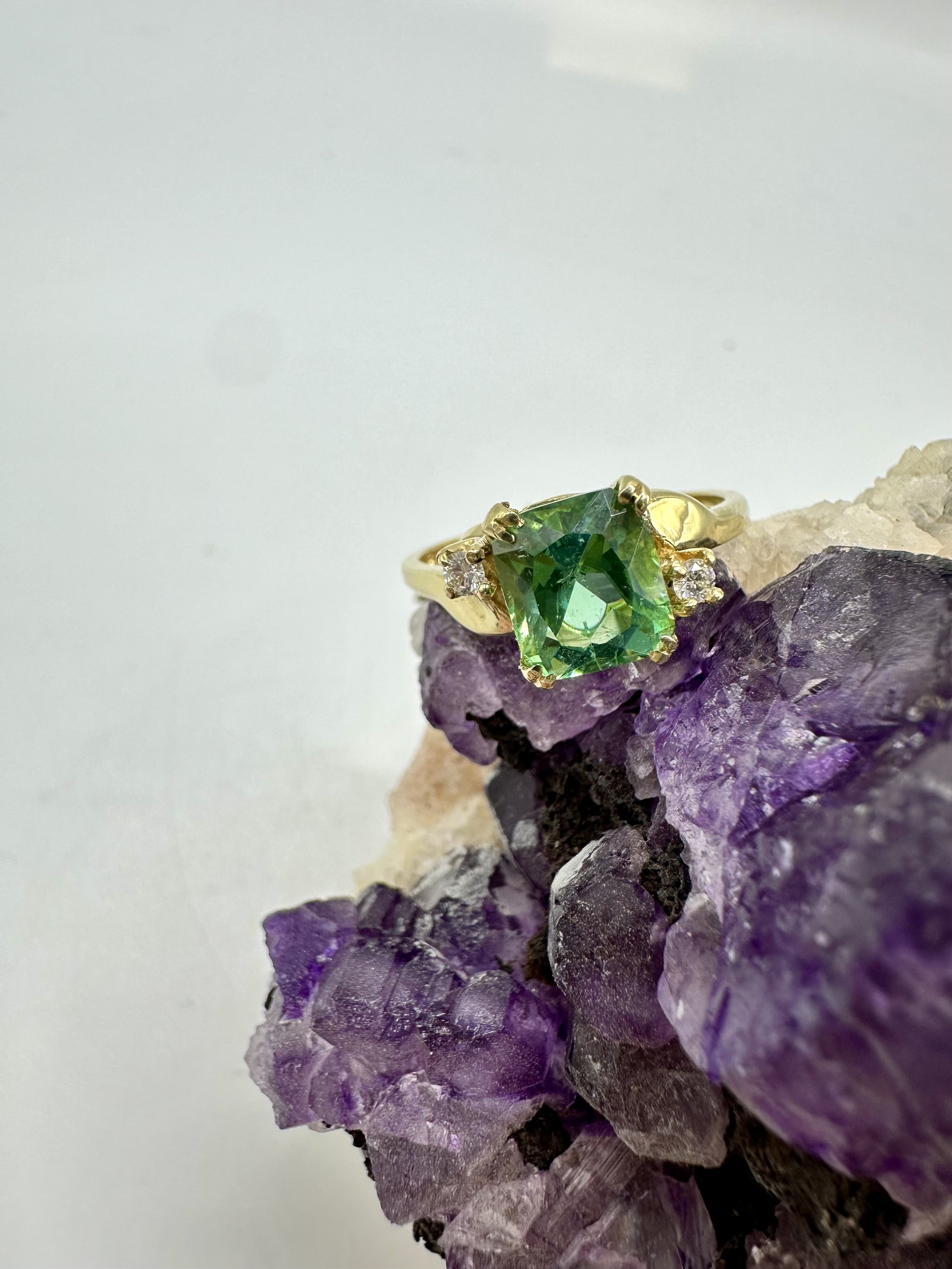 Photo Apr 04 2026, 12 04 48 PM.jpg