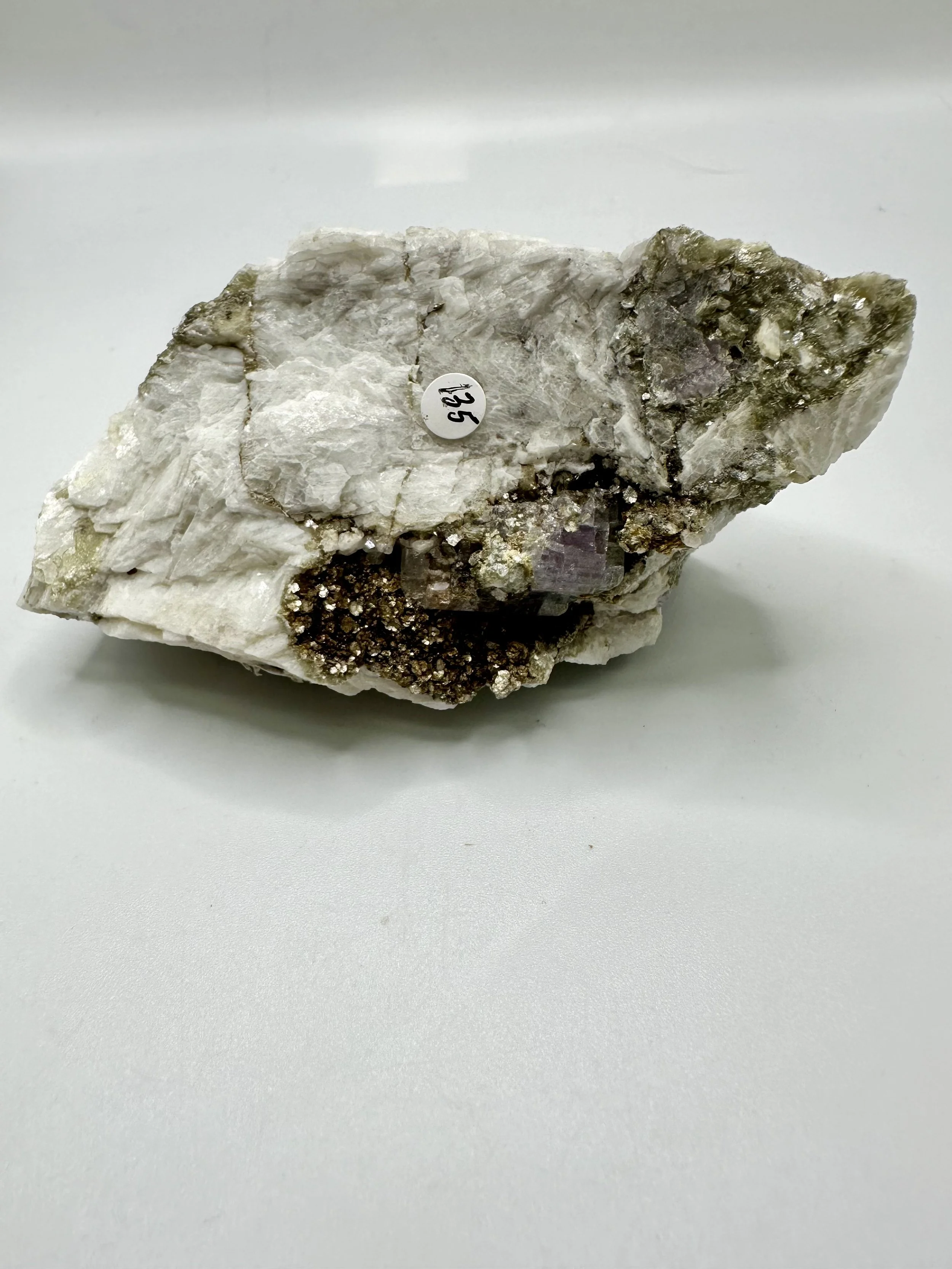 Photo Apr 04 2026, 2 39 37 PM.jpg