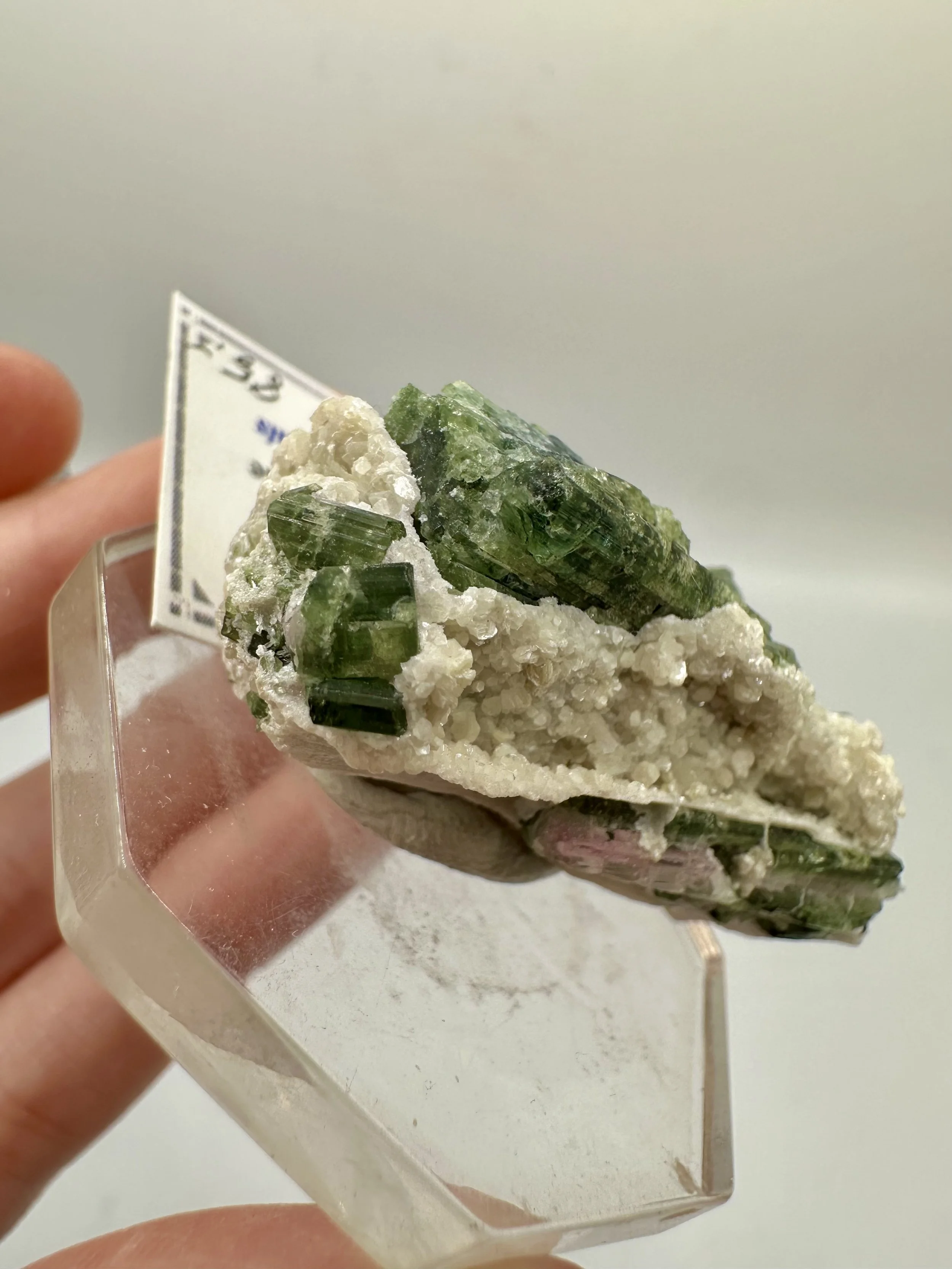 Photo Apr 04 2026, 2 46 10 PM.jpg