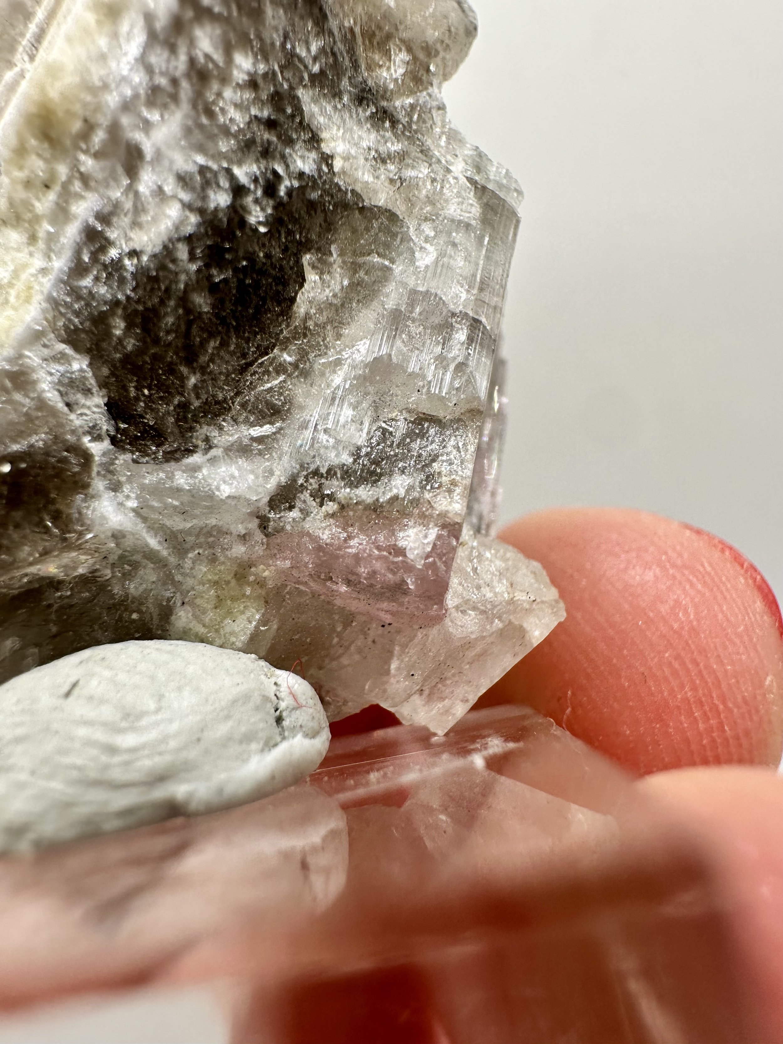 Photo Apr 04 2026, 2 54 55 PM.jpg