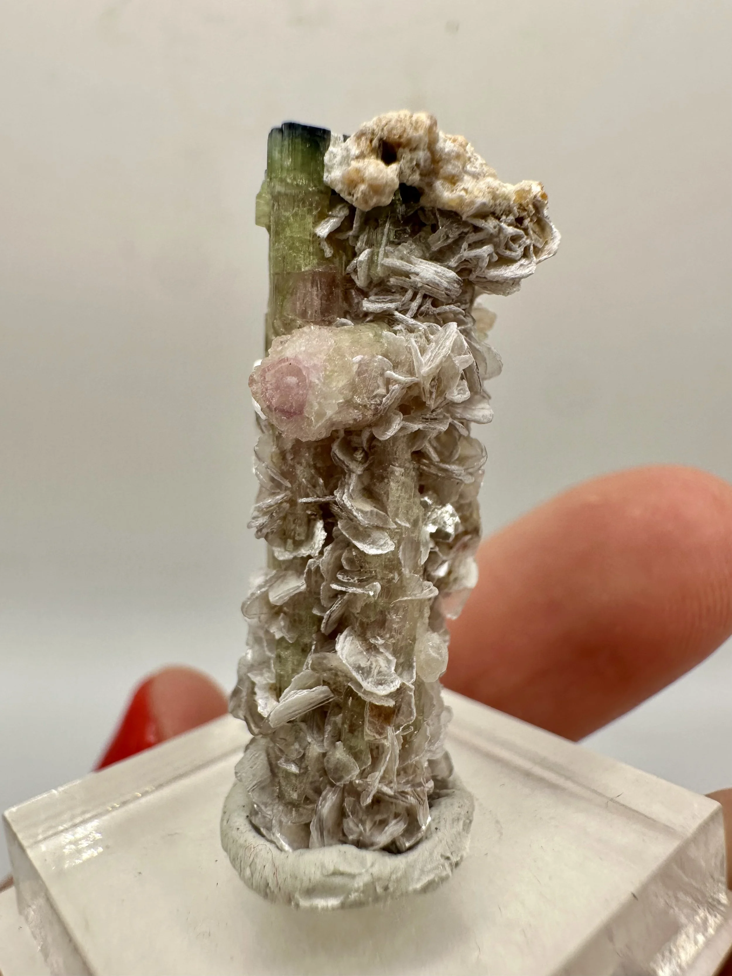 Photo Apr 04 2026, 2 53 04 PM.jpg