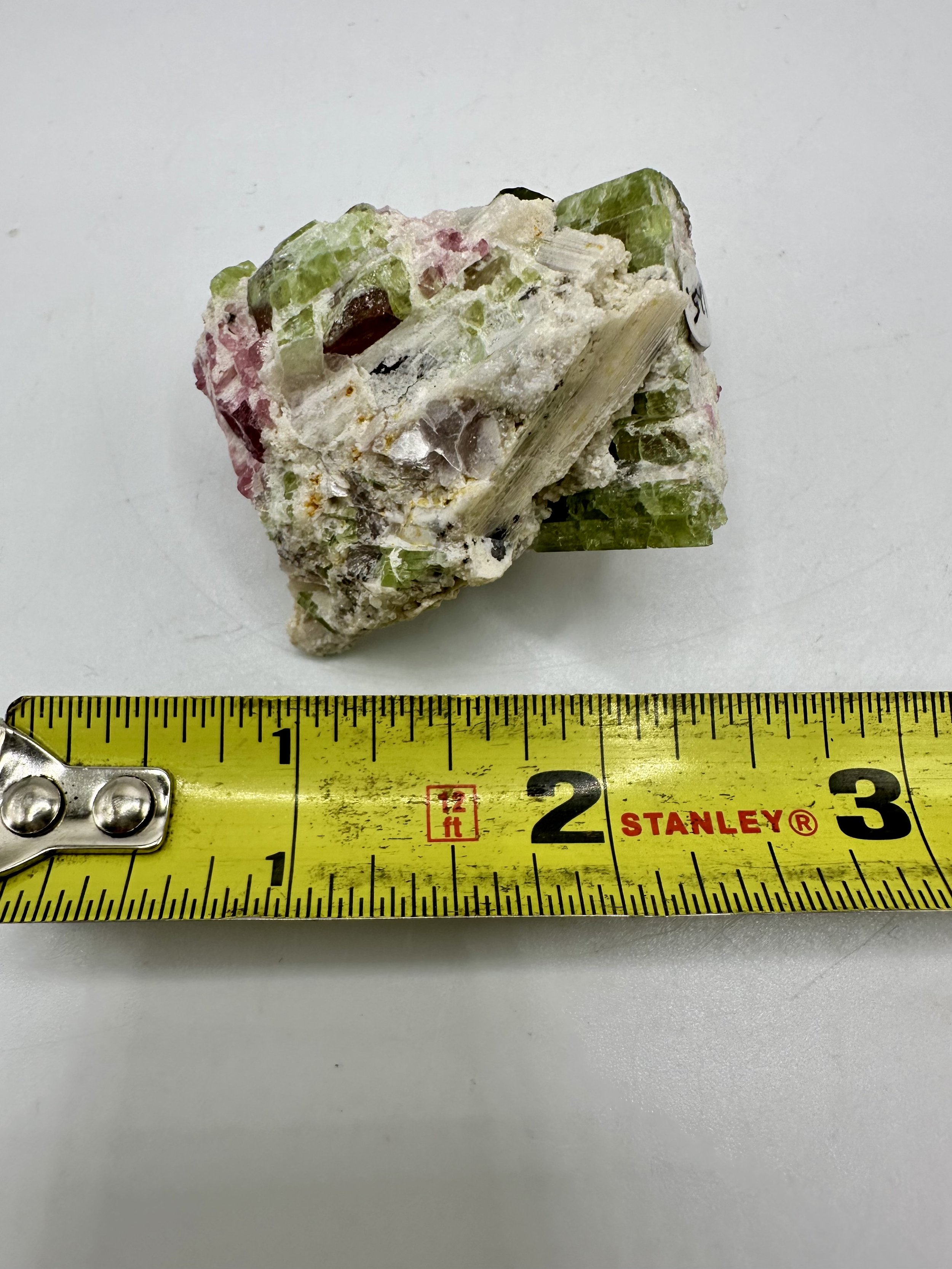 Photo Apr 04 2026, 2 49 54 PM.jpg