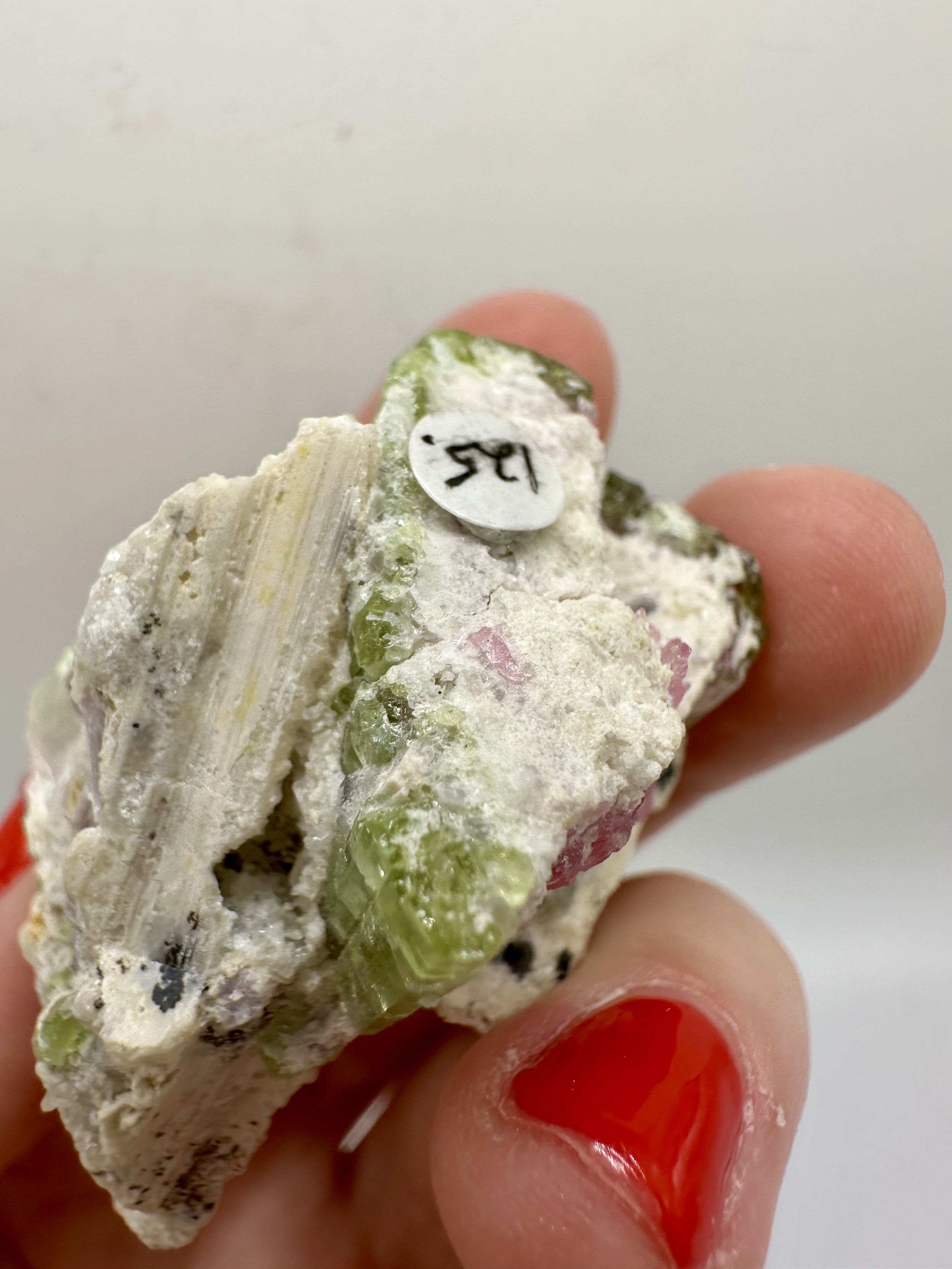 Photo Apr 04 2026, 2 50 29 PM.jpg