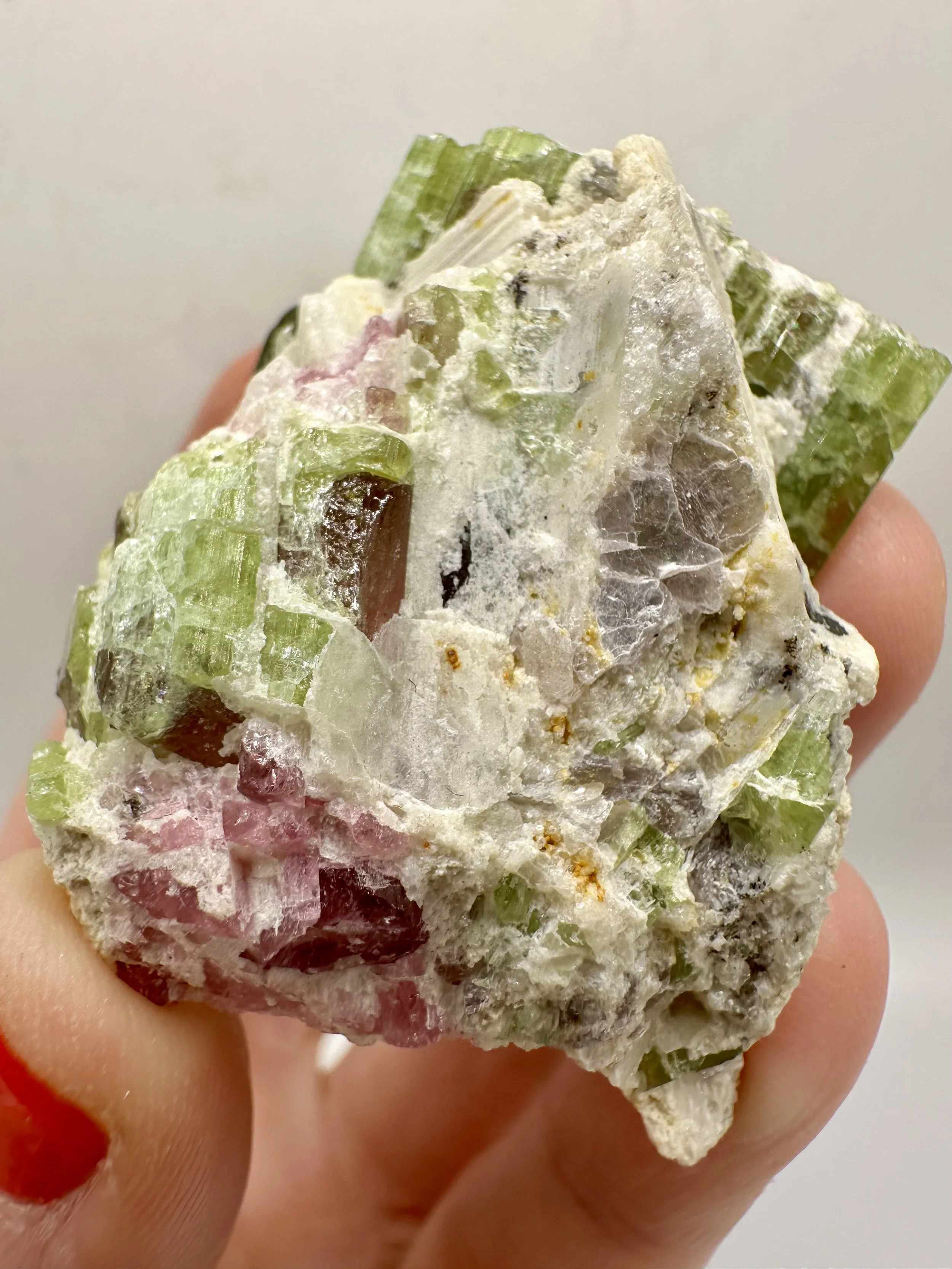 Photo Apr 04 2026, 2 50 21 PM.jpg