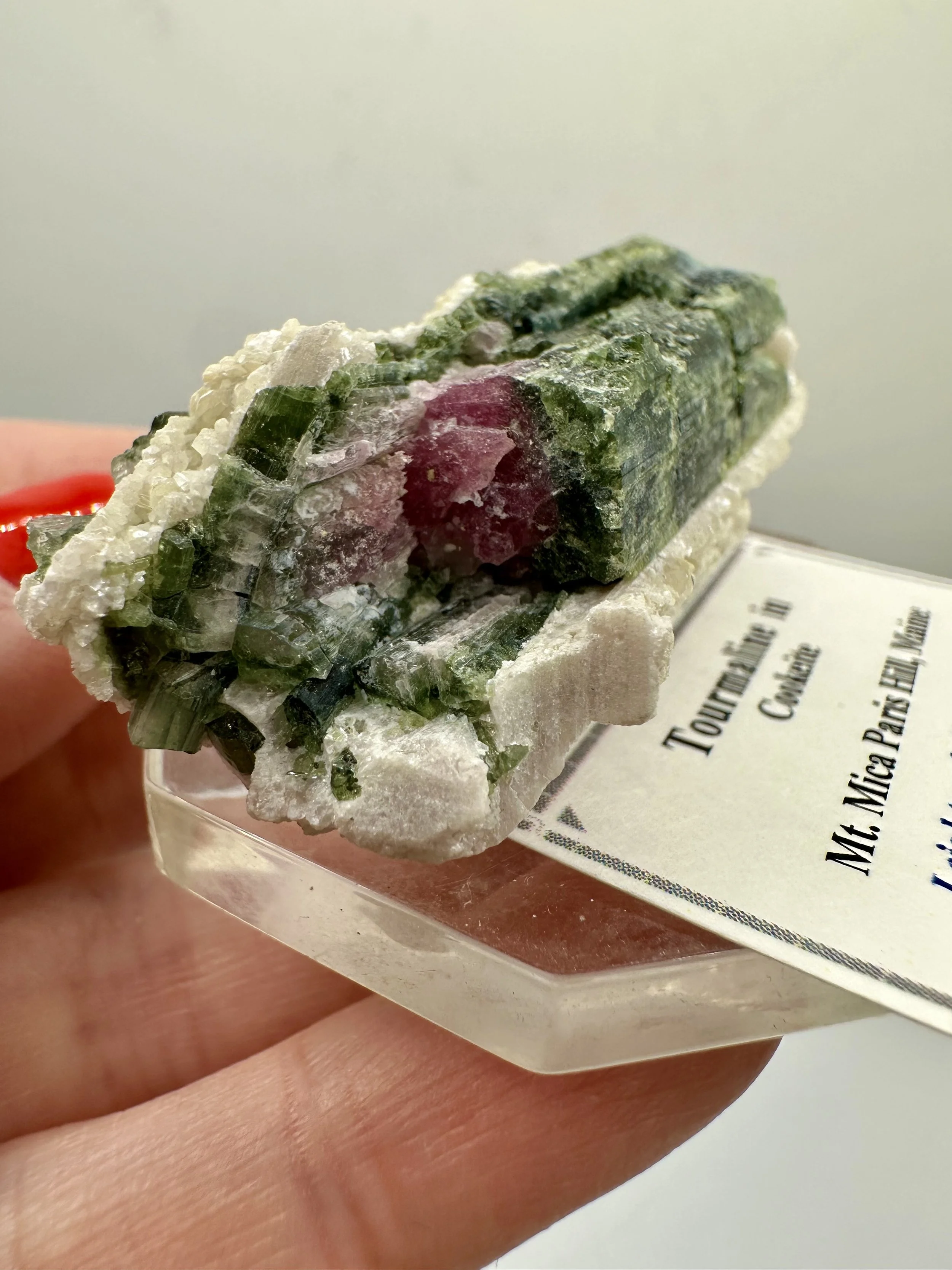 Photo Apr 04 2026, 2 45 42 PM.jpg