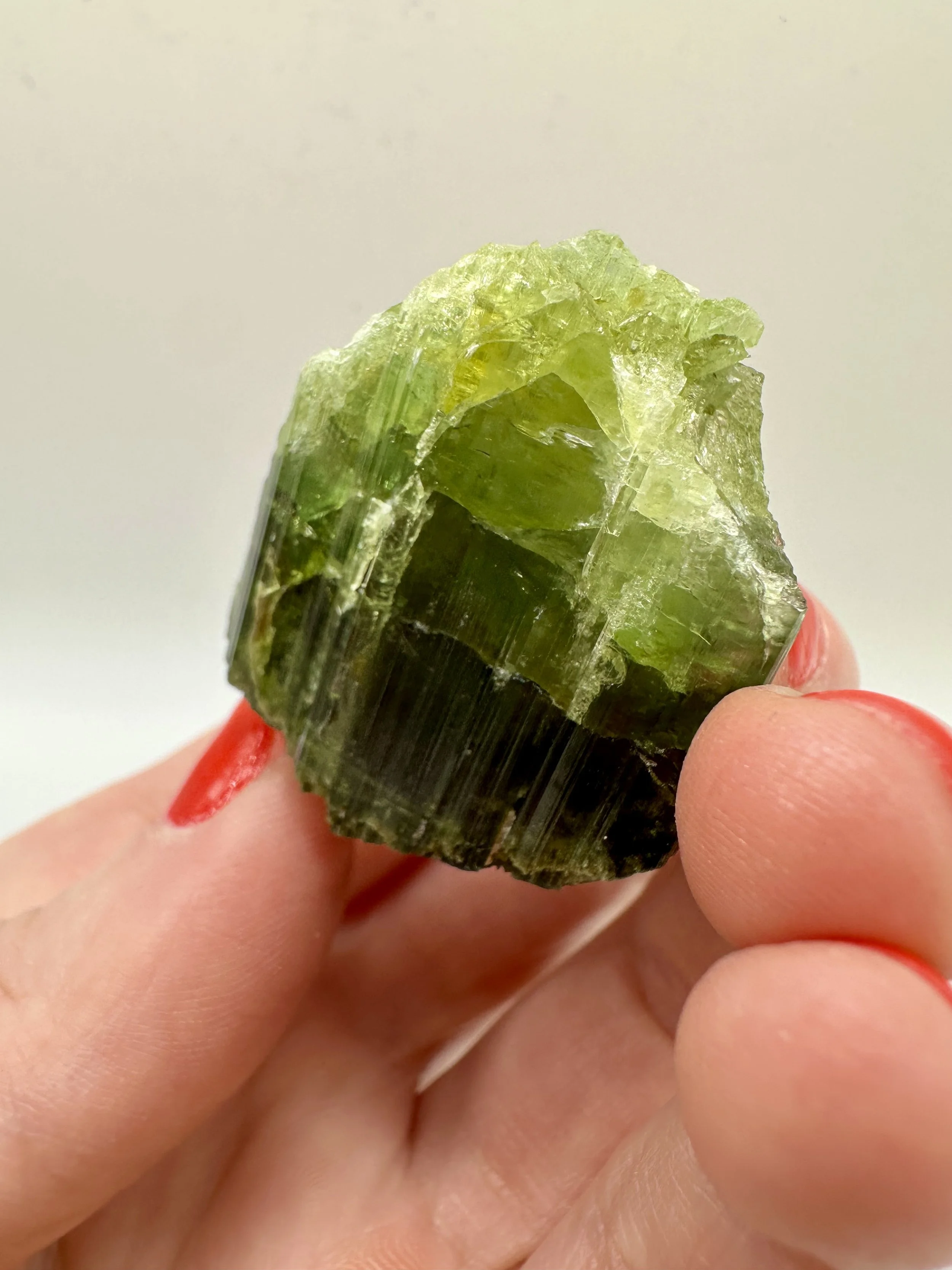 Photo Apr 04 2026, 2 37 29 PM.jpg