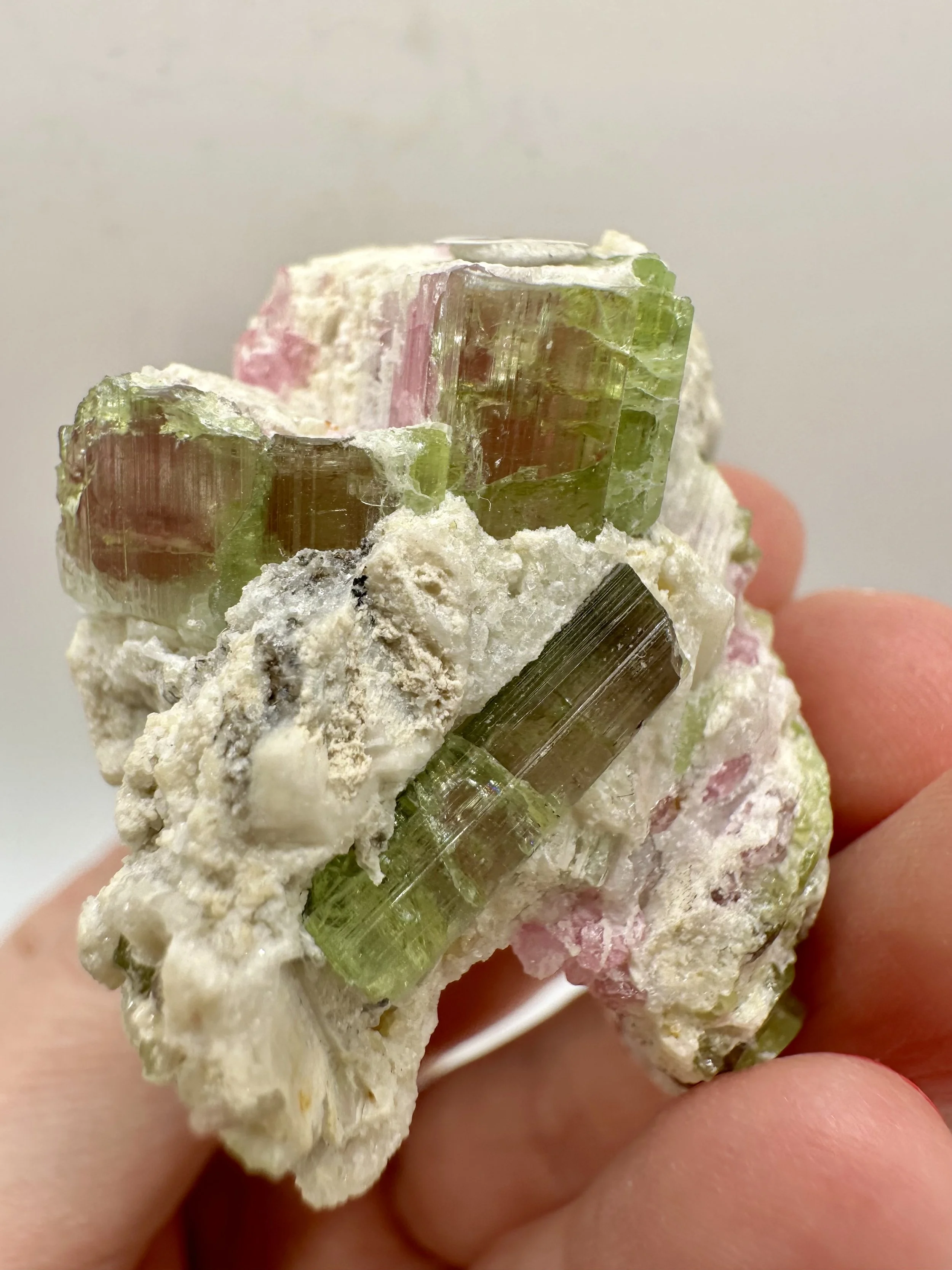 Photo Apr 04 2026, 2 50 44 PM.jpg