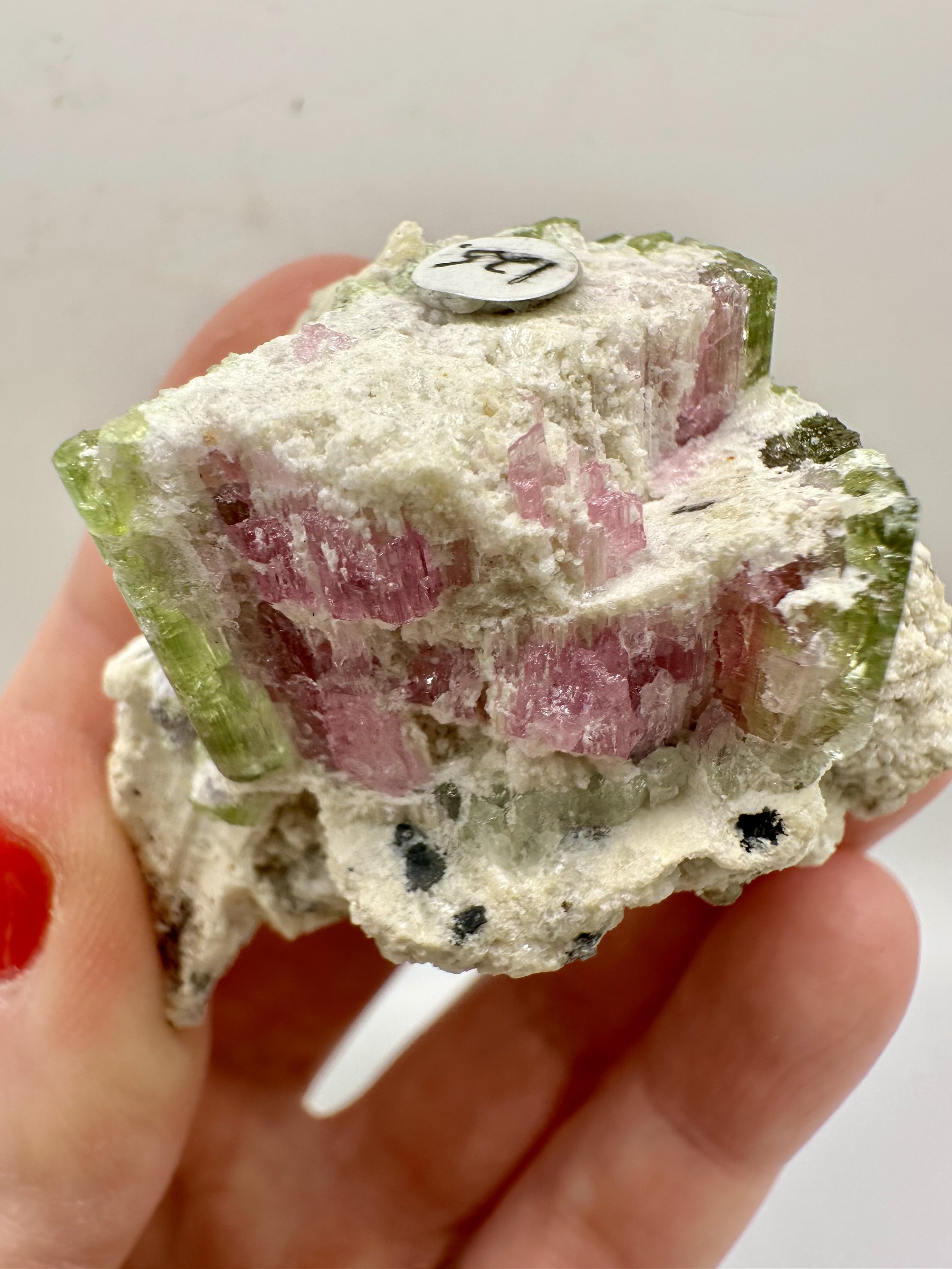 Photo Apr 04 2026, 2 50 36 PM.jpg