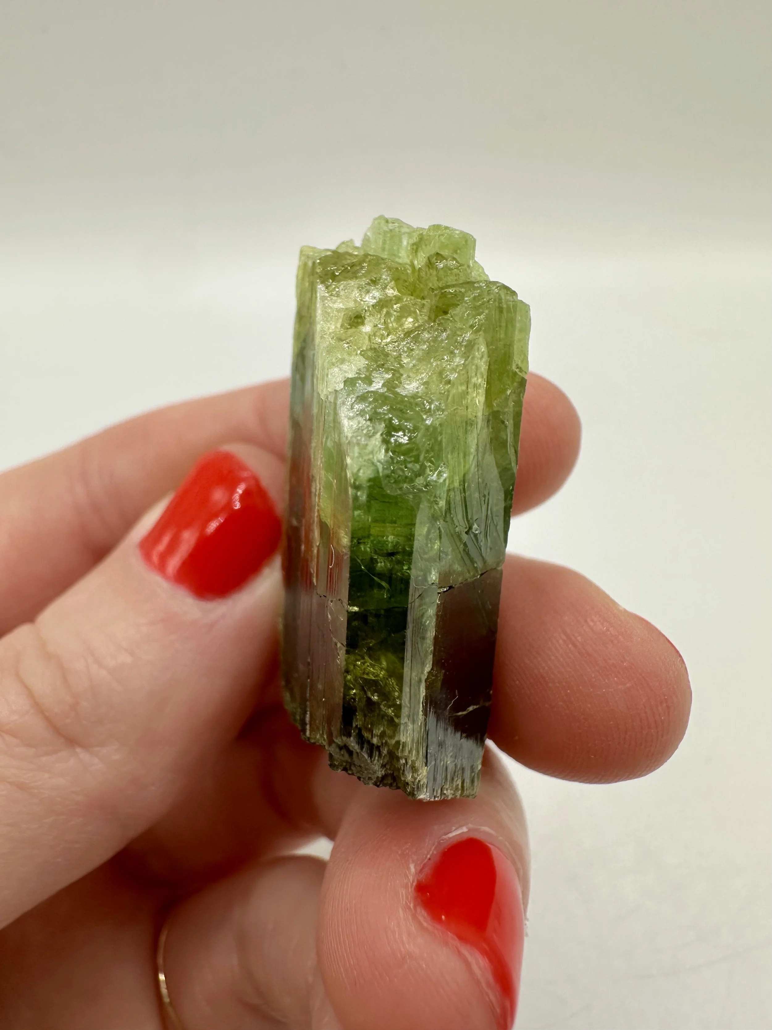 Photo Apr 04 2026, 2 37 09 PM.jpg