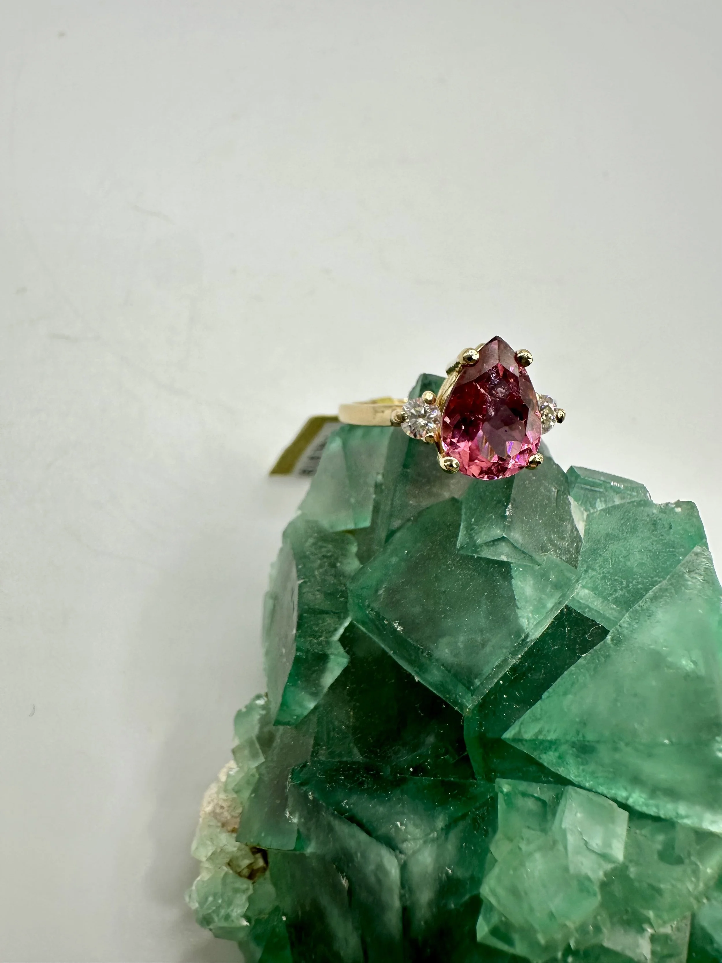 Photo Apr 04 2026, 12 01 52 PM.jpg