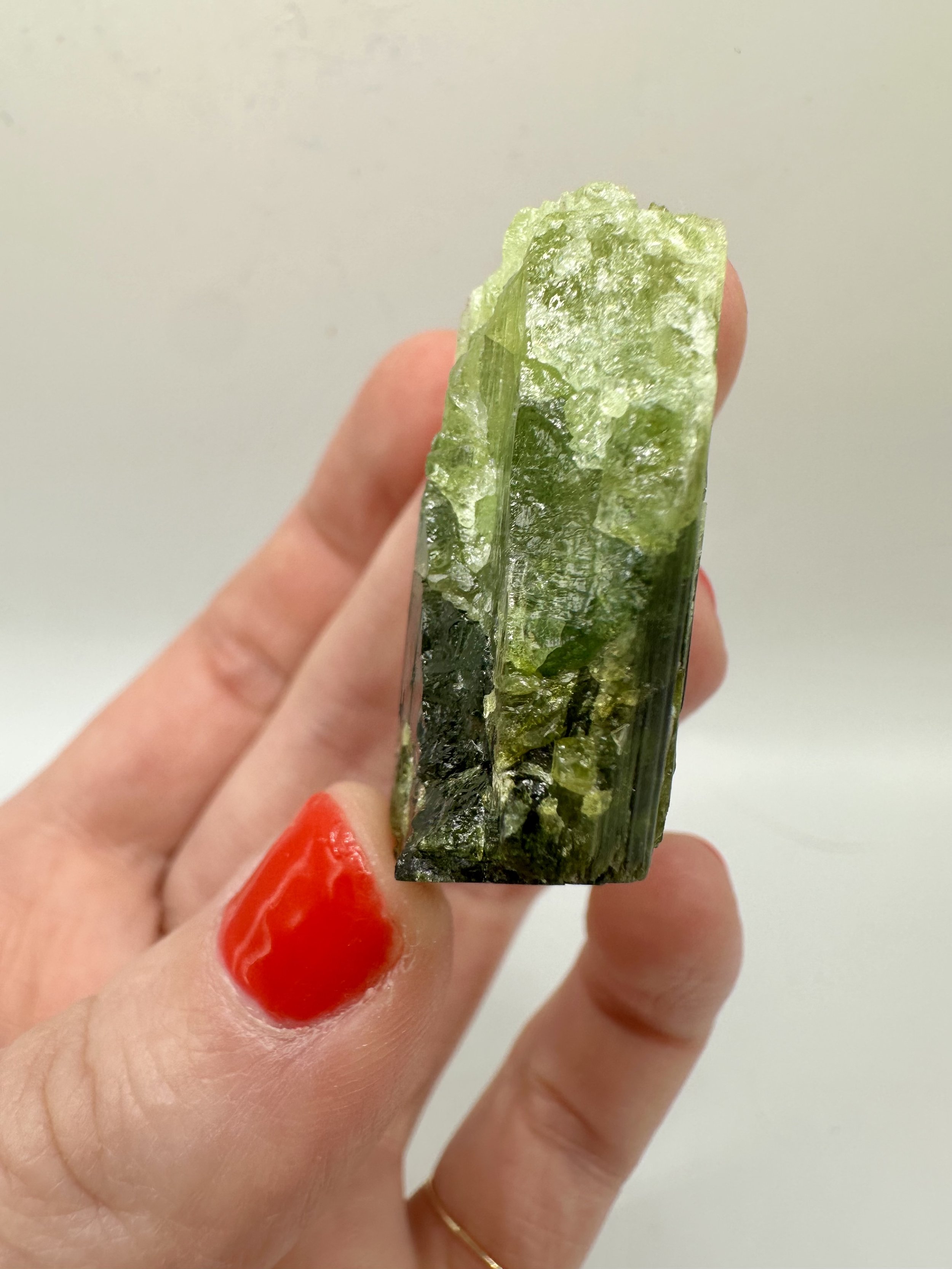 Photo Apr 04 2026, 2 37 23 PM.jpg