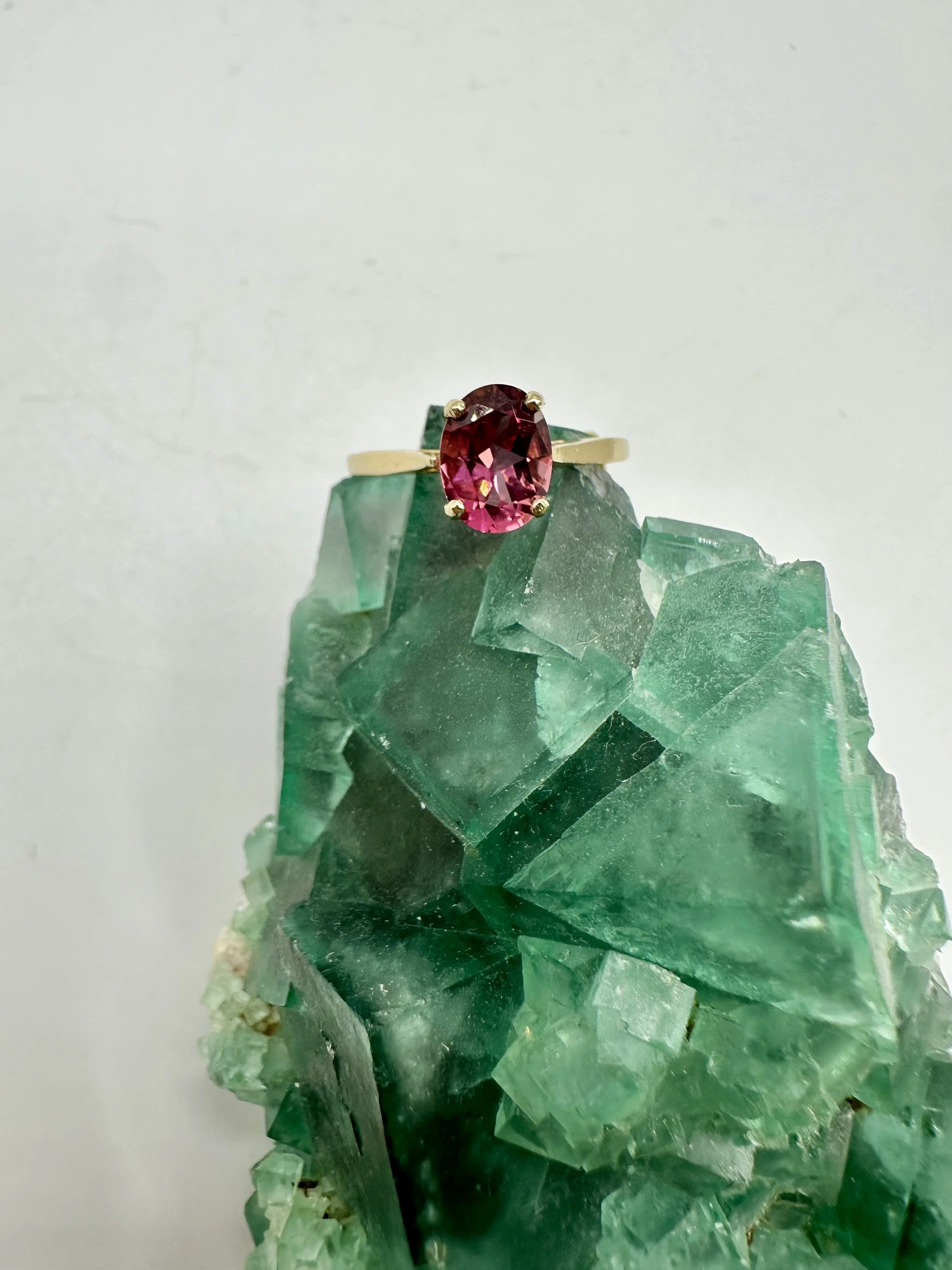 Photo Apr 04 2026, 12 02 21 PM.jpg