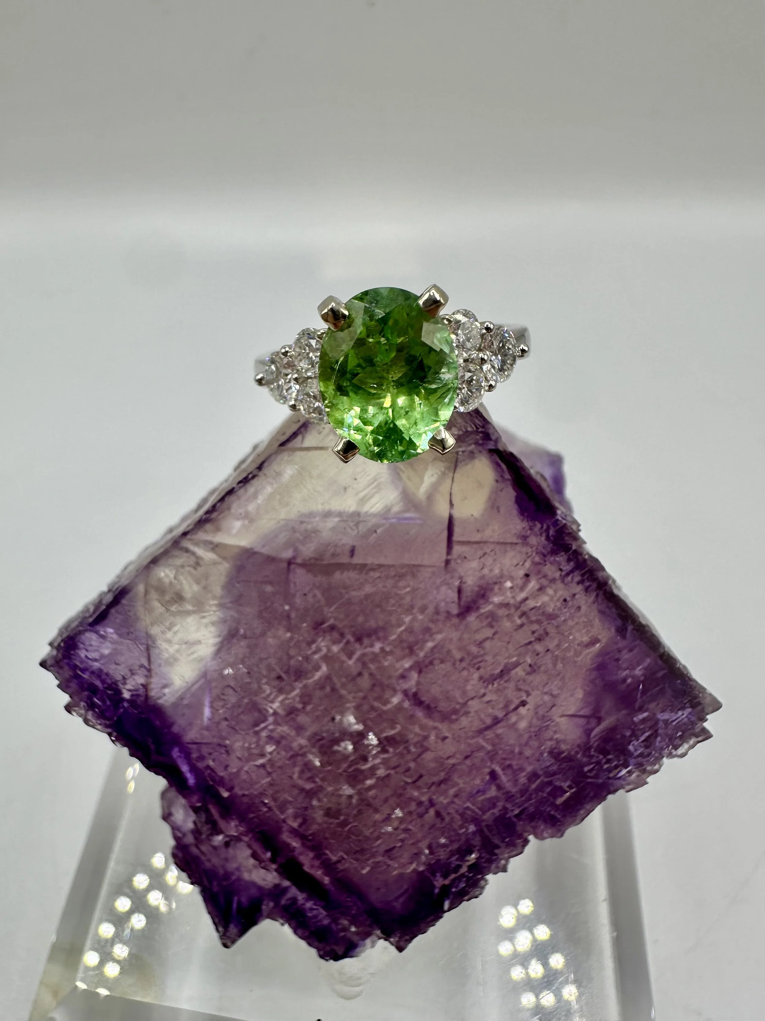 Photo Feb 14 2026, 12 00 43 PM.jpg