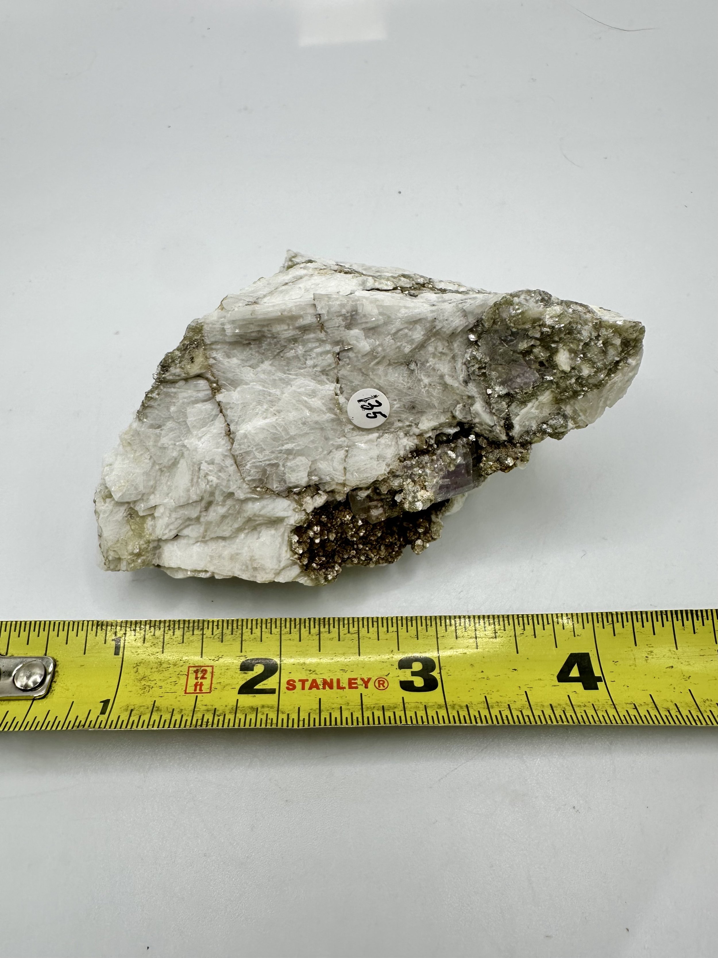 Photo Apr 04 2026, 2 39 29 PM.jpg