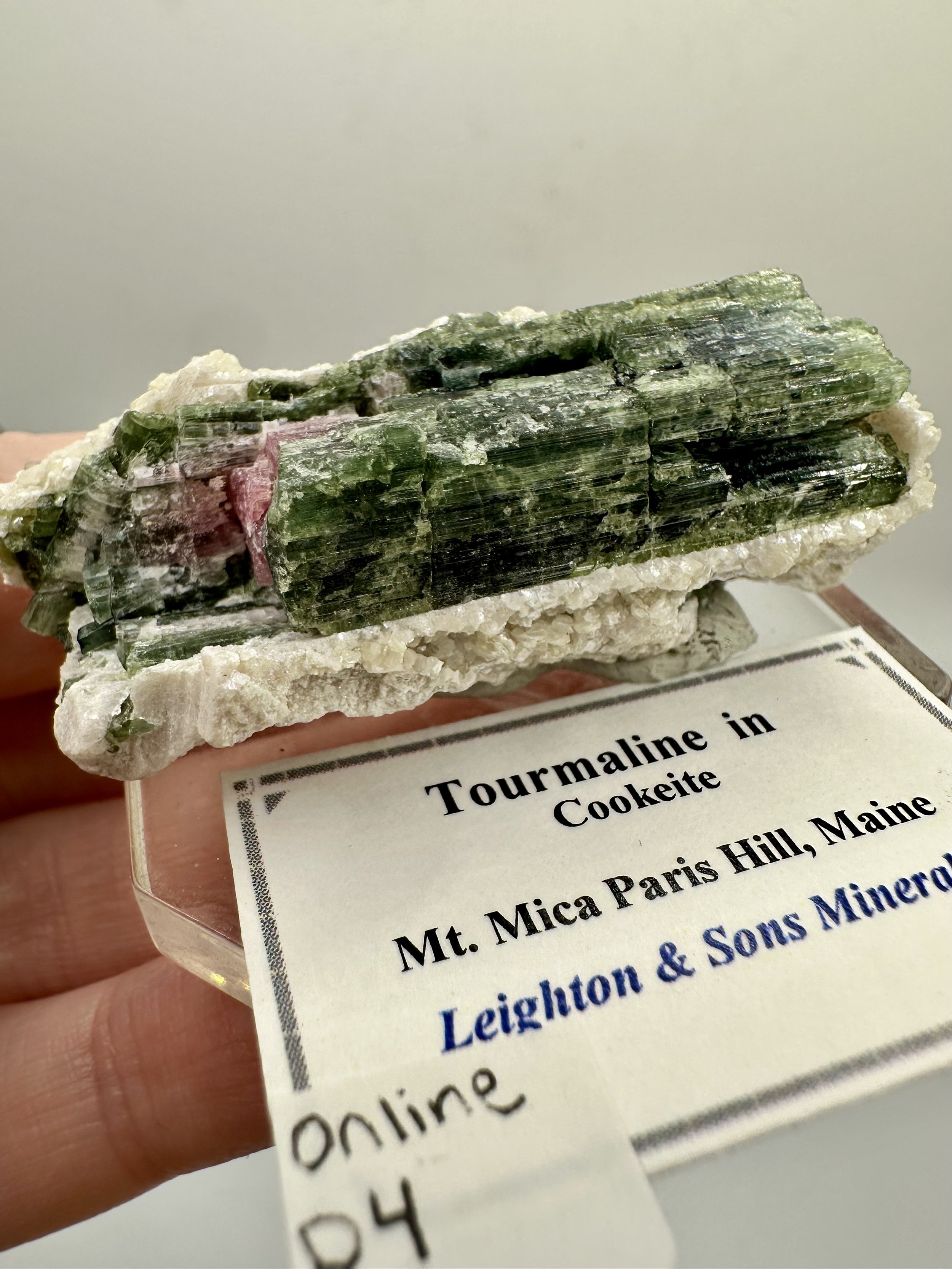 Photo Apr 04 2026, 2 45 46 PM.jpg