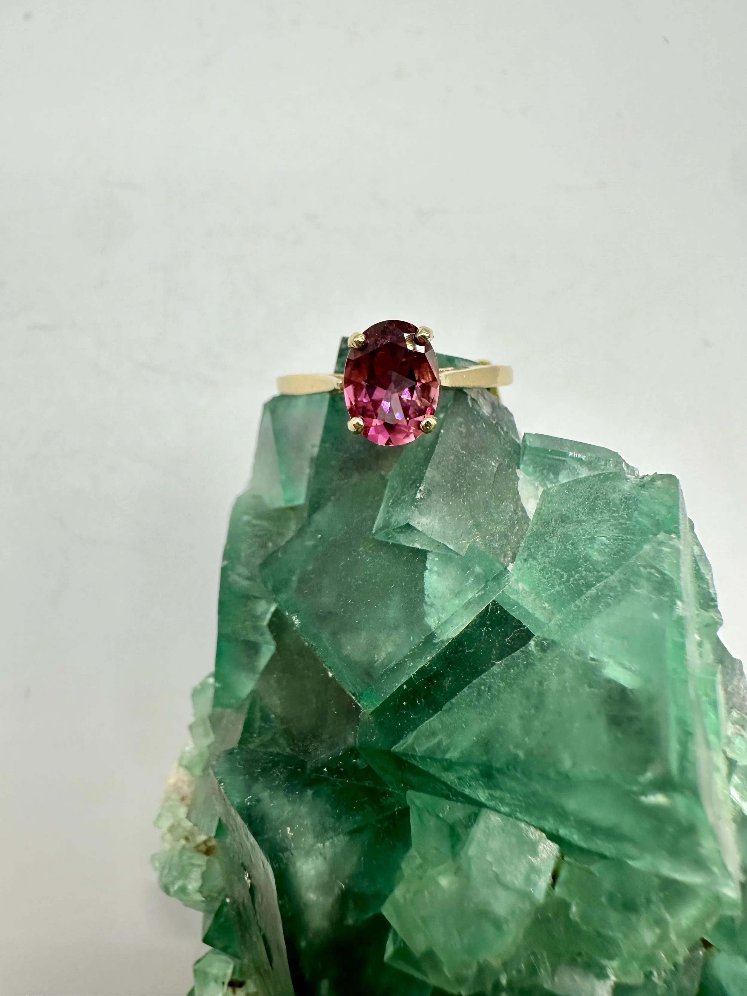 Photo Apr 04 2026, 12 02 30 PM.jpg