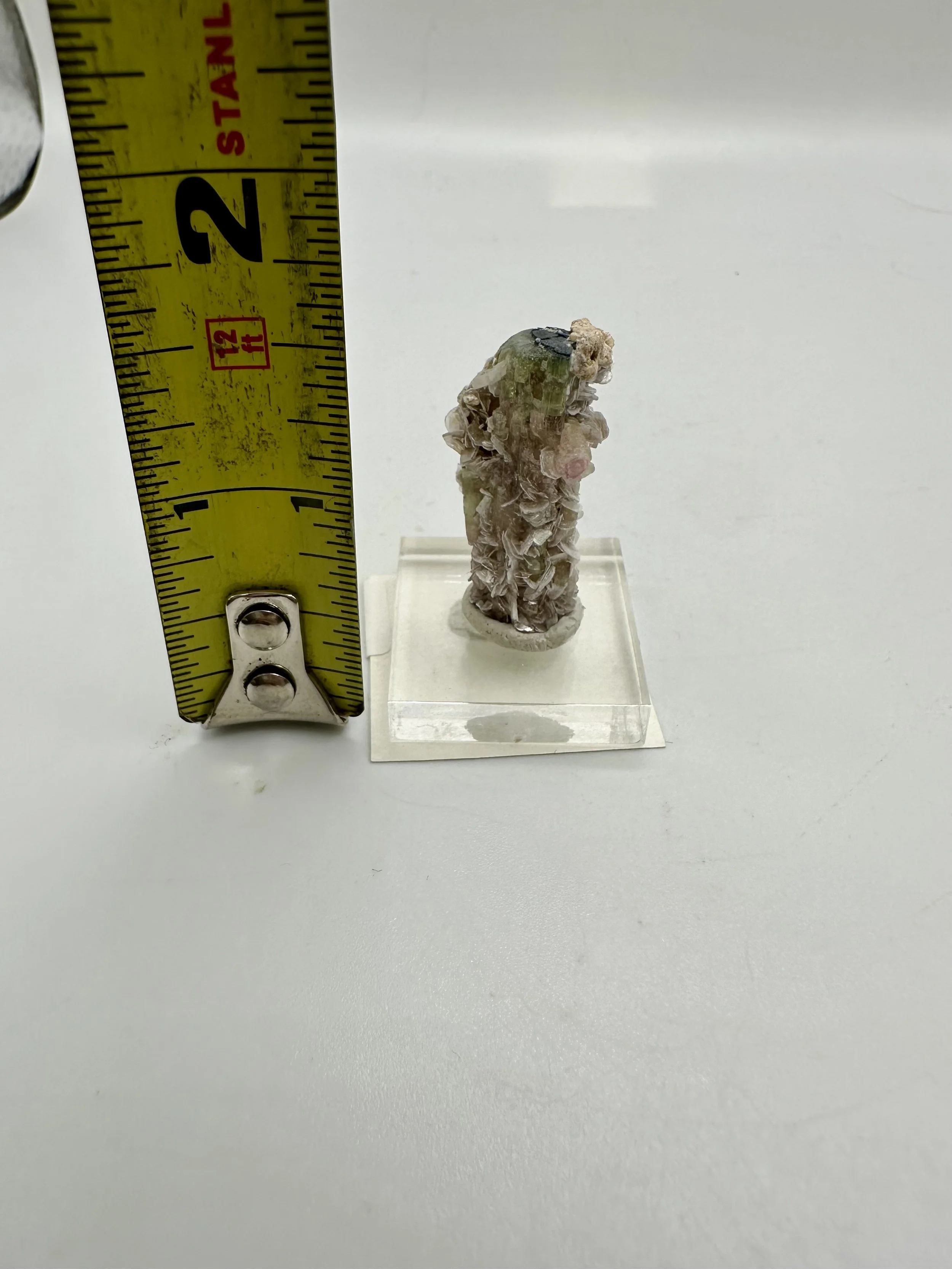 Photo Apr 04 2026, 2 51 50 PM.jpg