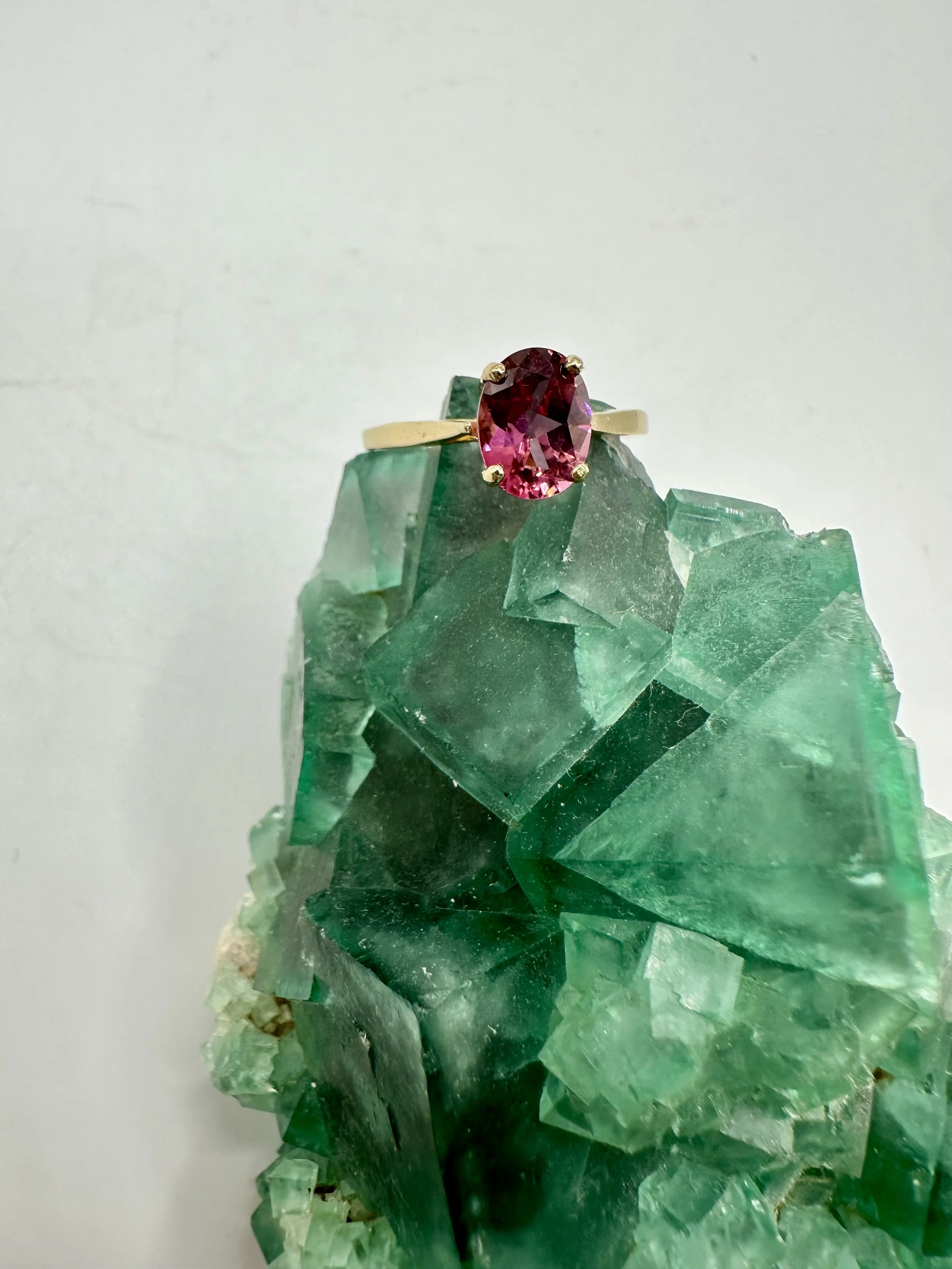 Photo Apr 04 2026, 12 02 24 PM.jpg