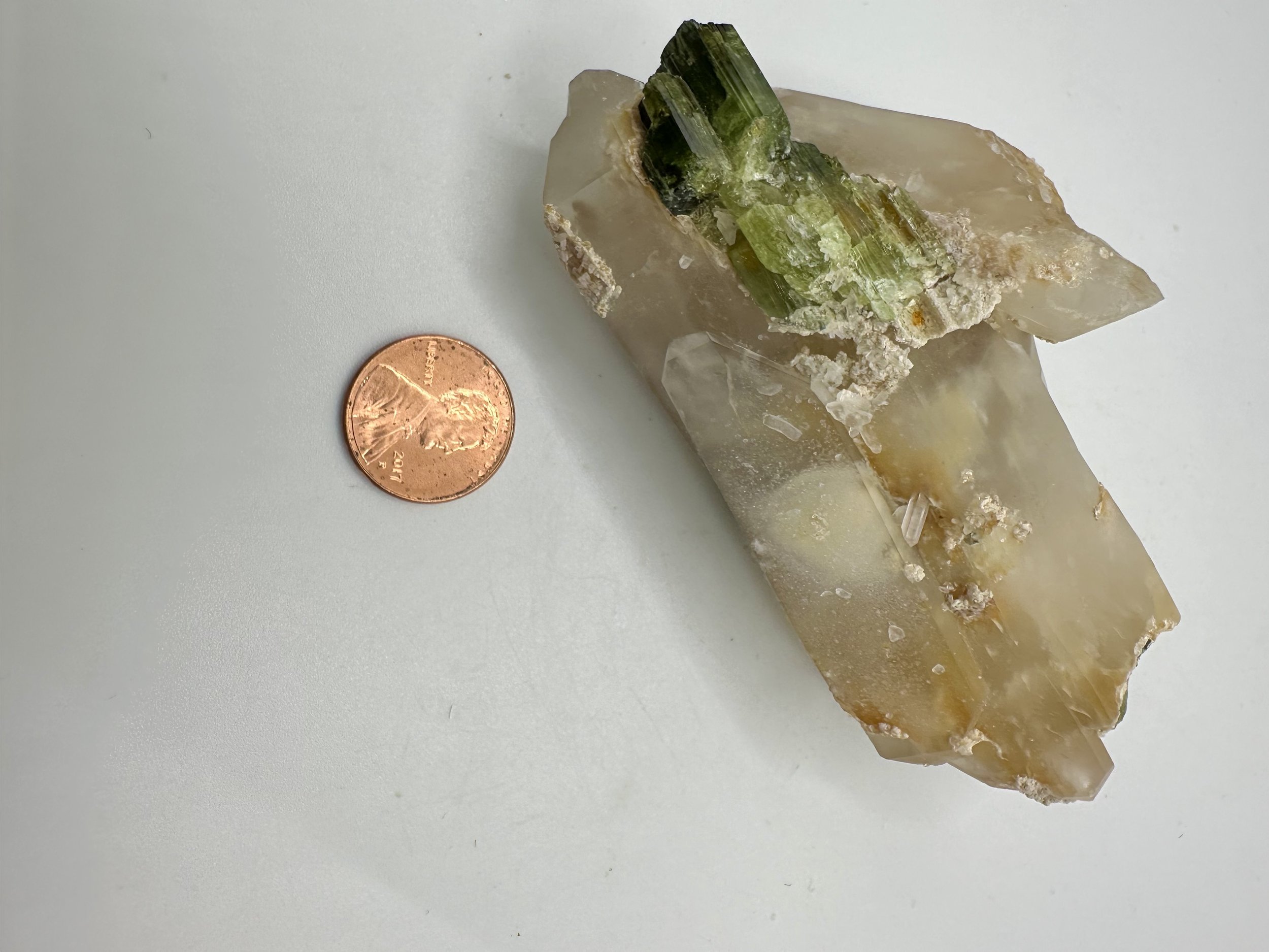 Photo Apr 04 2026, 2 43 37 PM.jpg