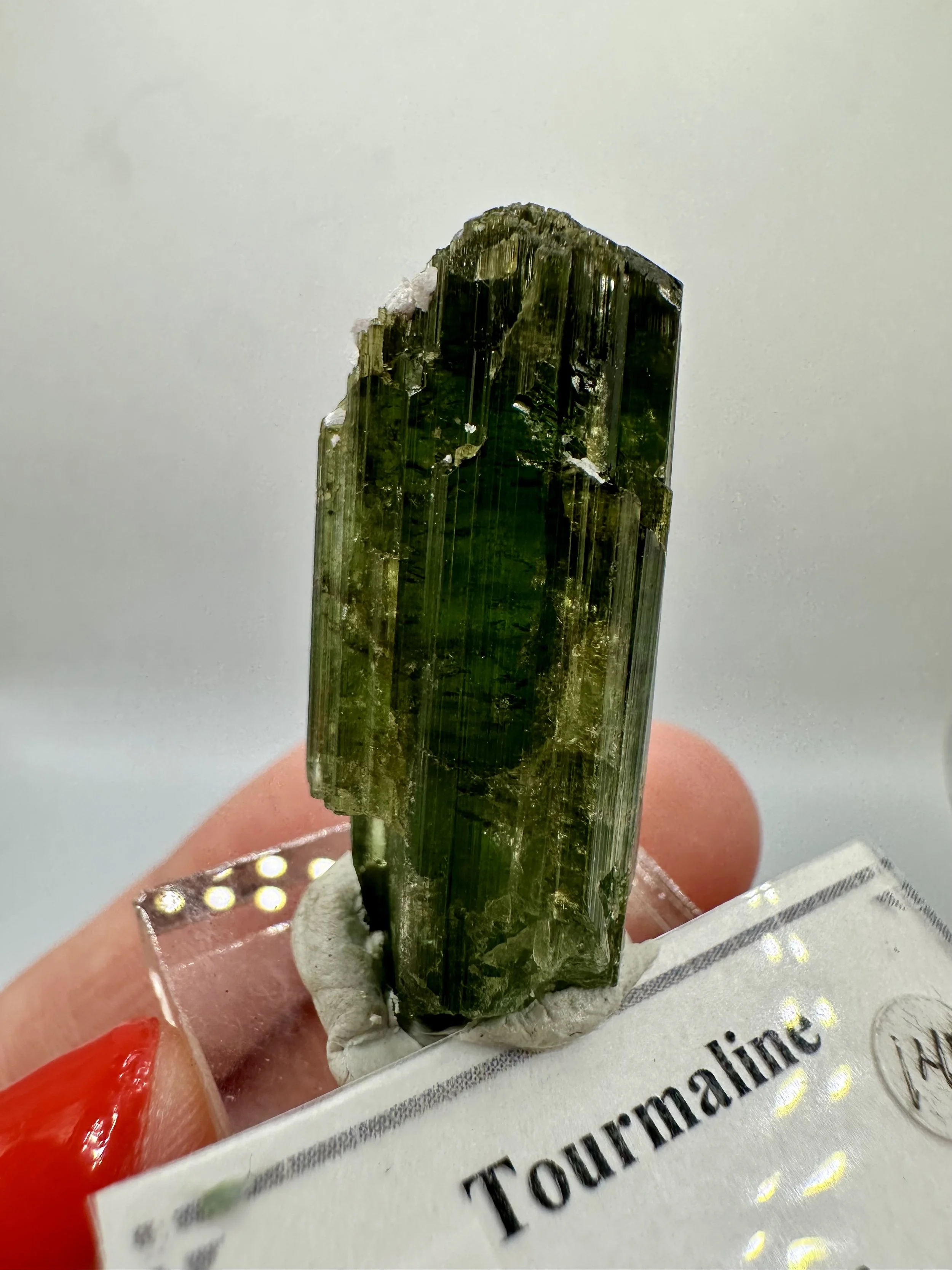 Photo Apr 04 2026, 2 47 04 PM.jpg