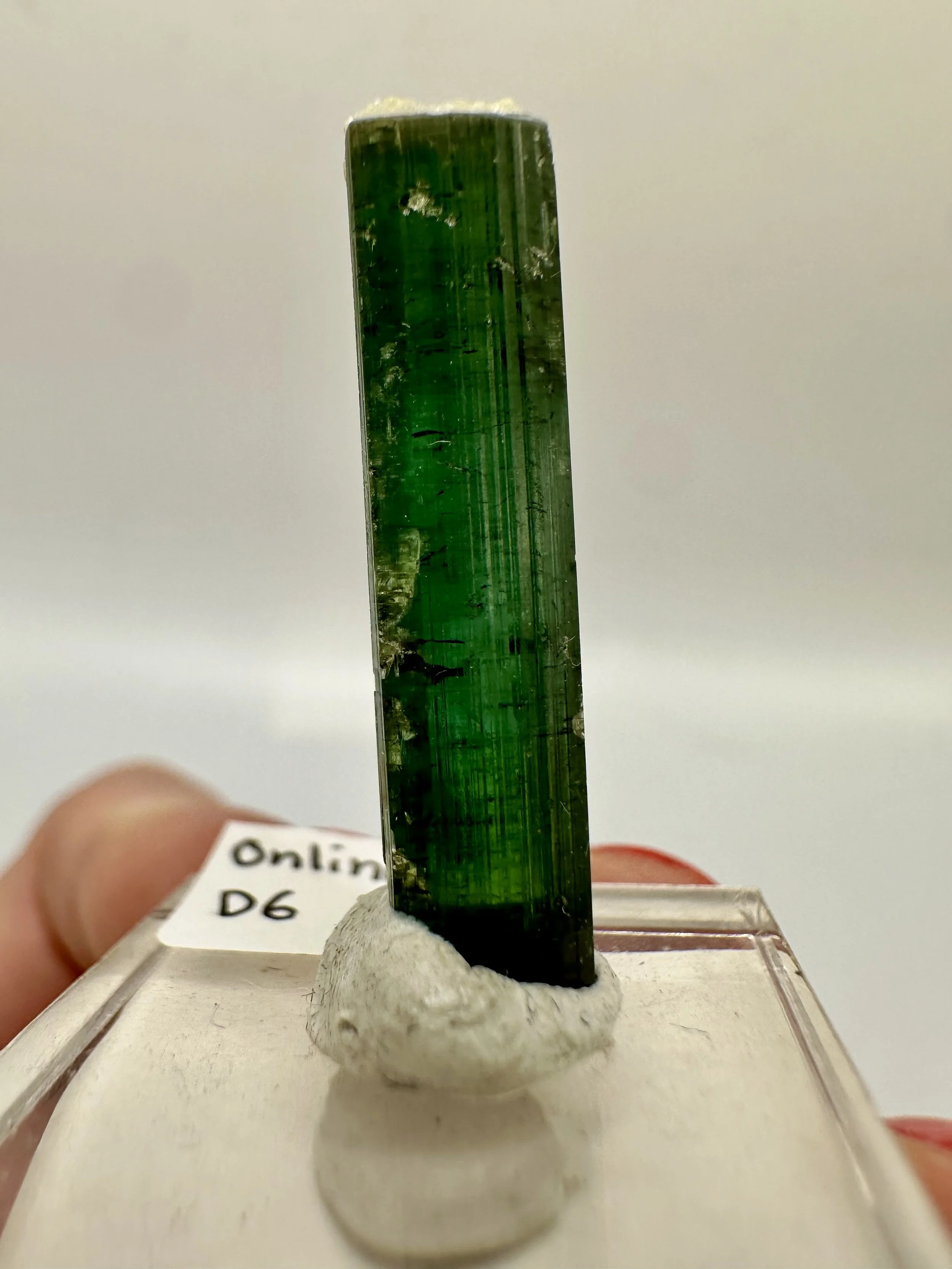 Photo Apr 04 2026, 2 48 26 PM.jpg