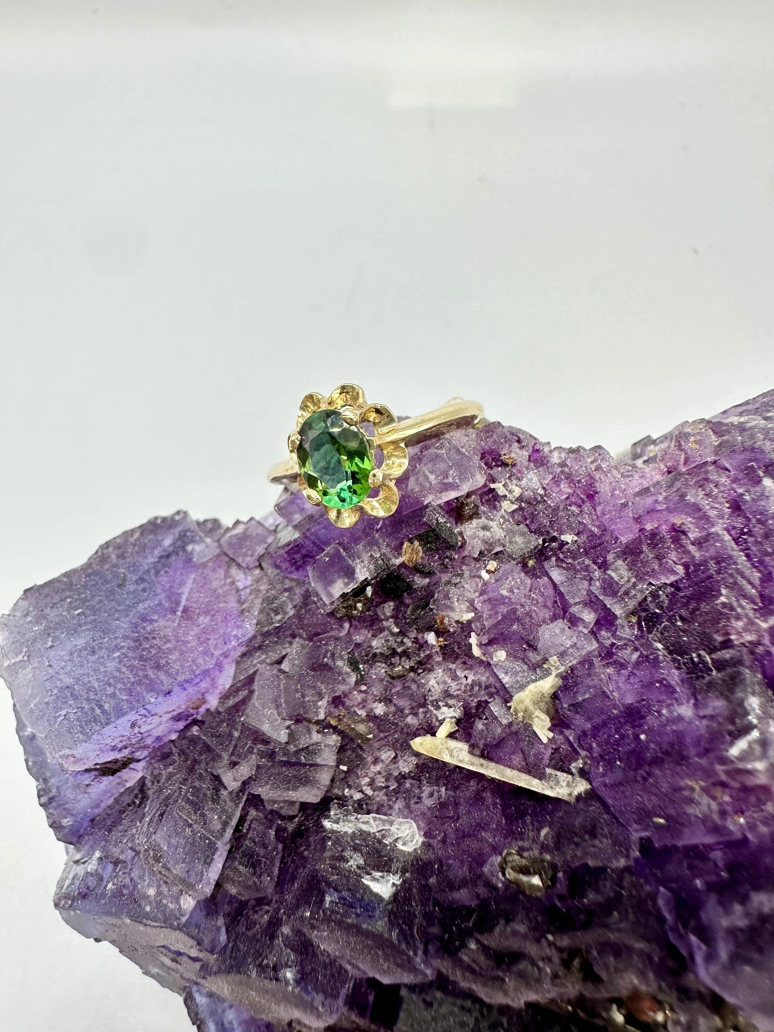 Photo Jan 10 2026, 3 31 35 PM.jpg