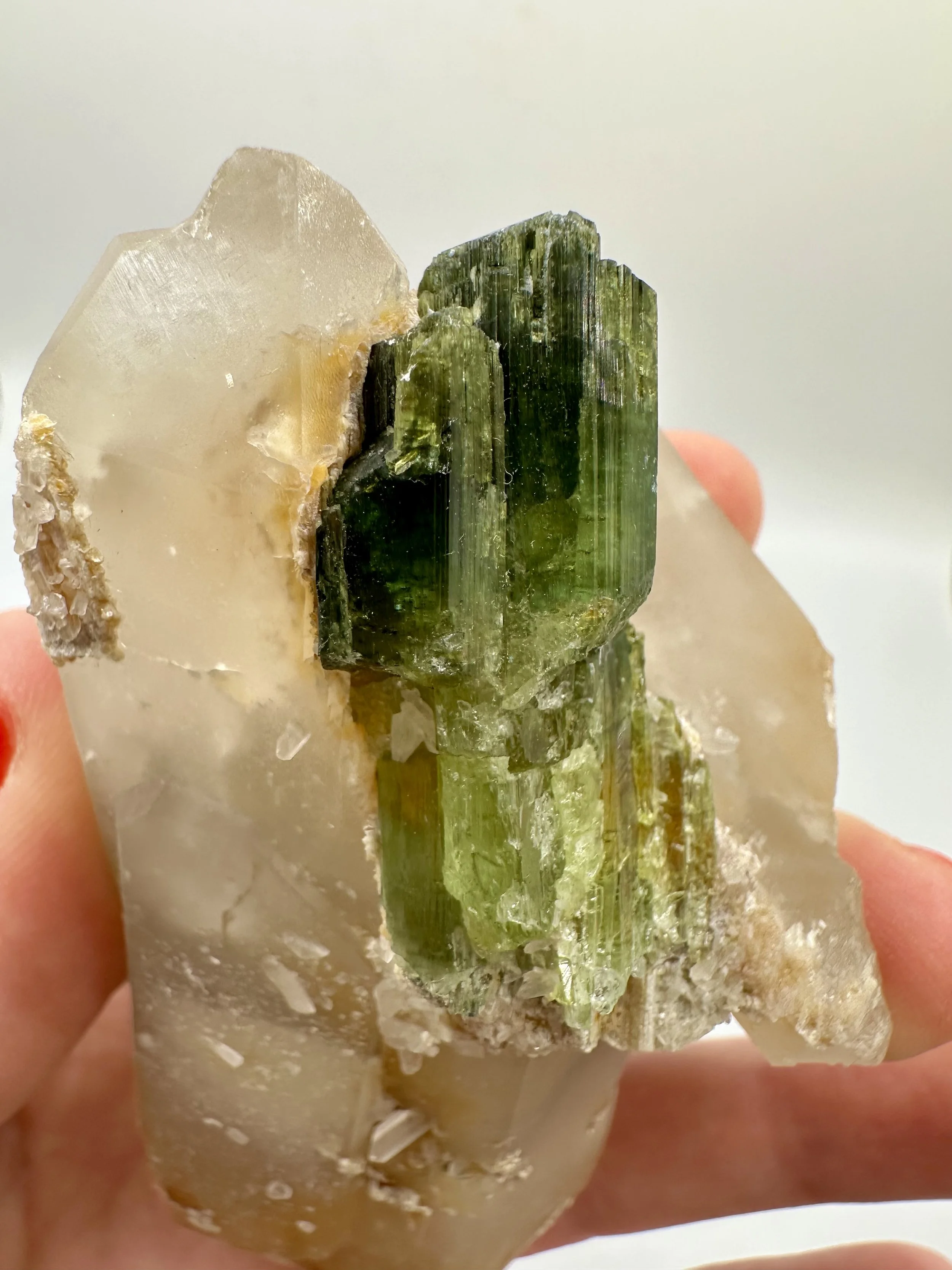 Photo Apr 04 2026, 2 43 23 PM.jpg