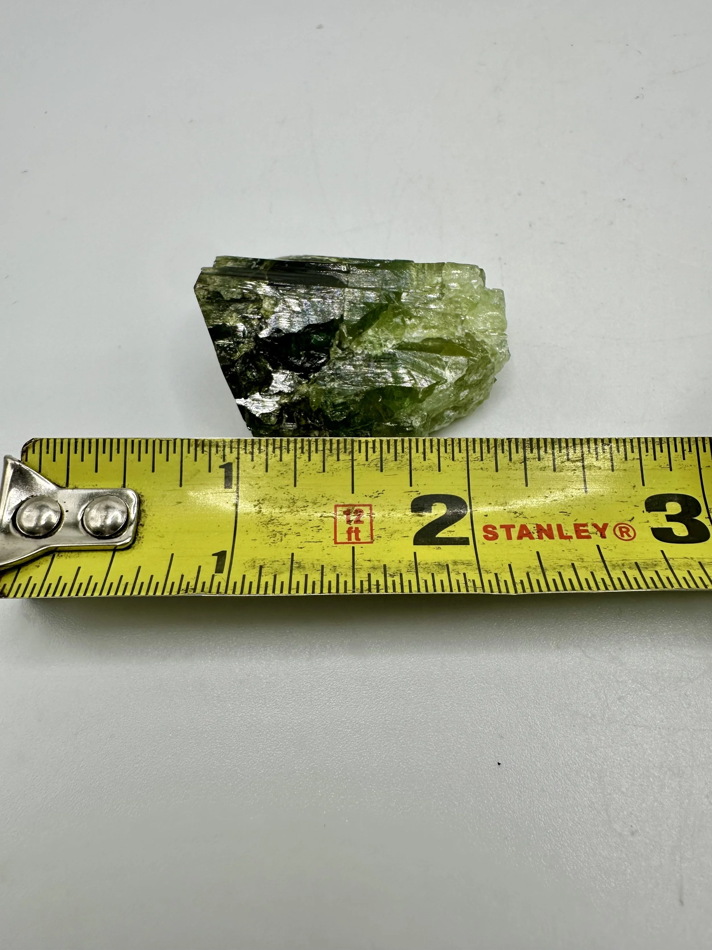 Photo Apr 04 2026, 2 36 32 PM.jpg