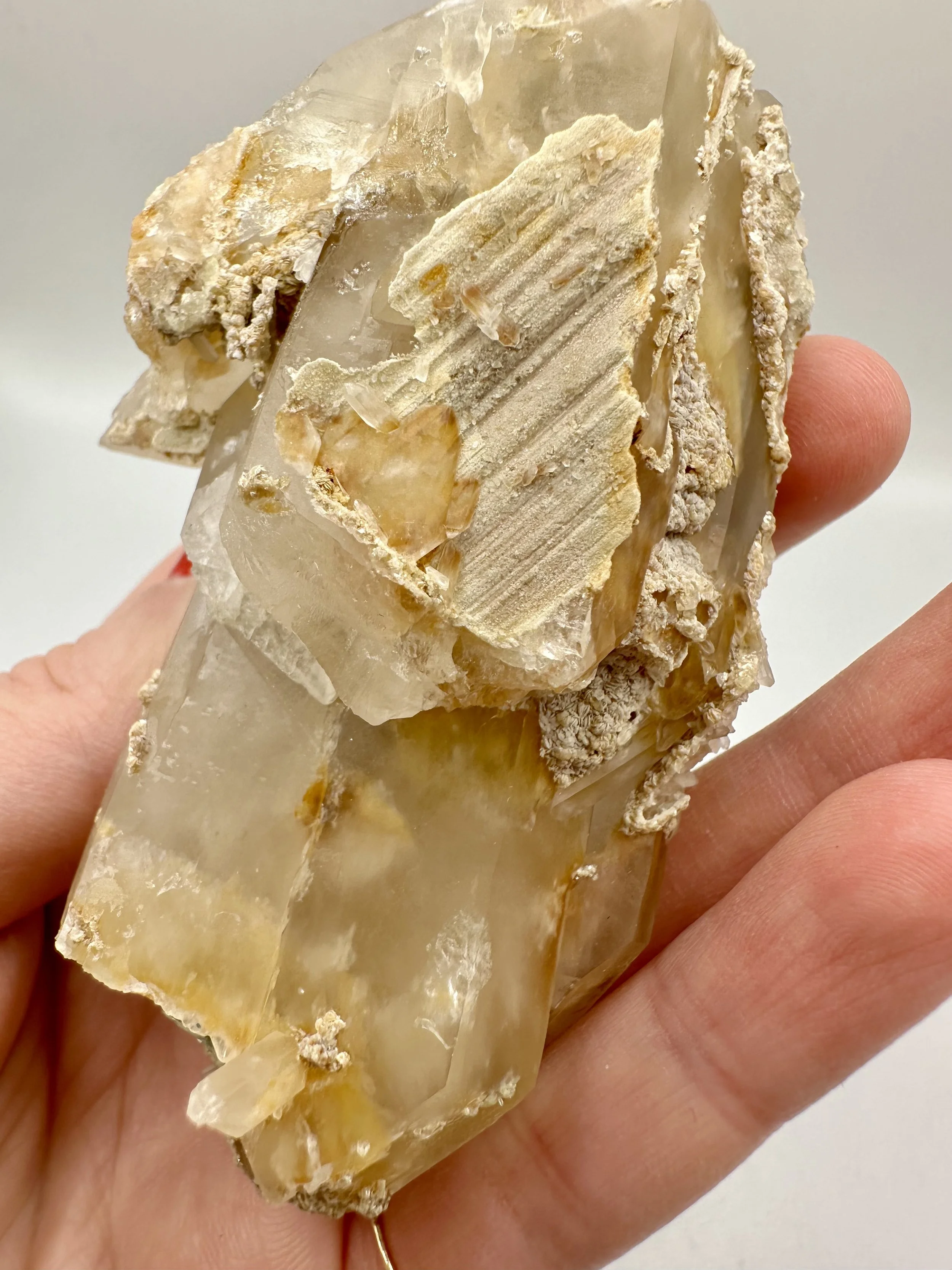 Photo Apr 04 2026, 2 42 59 PM.jpg