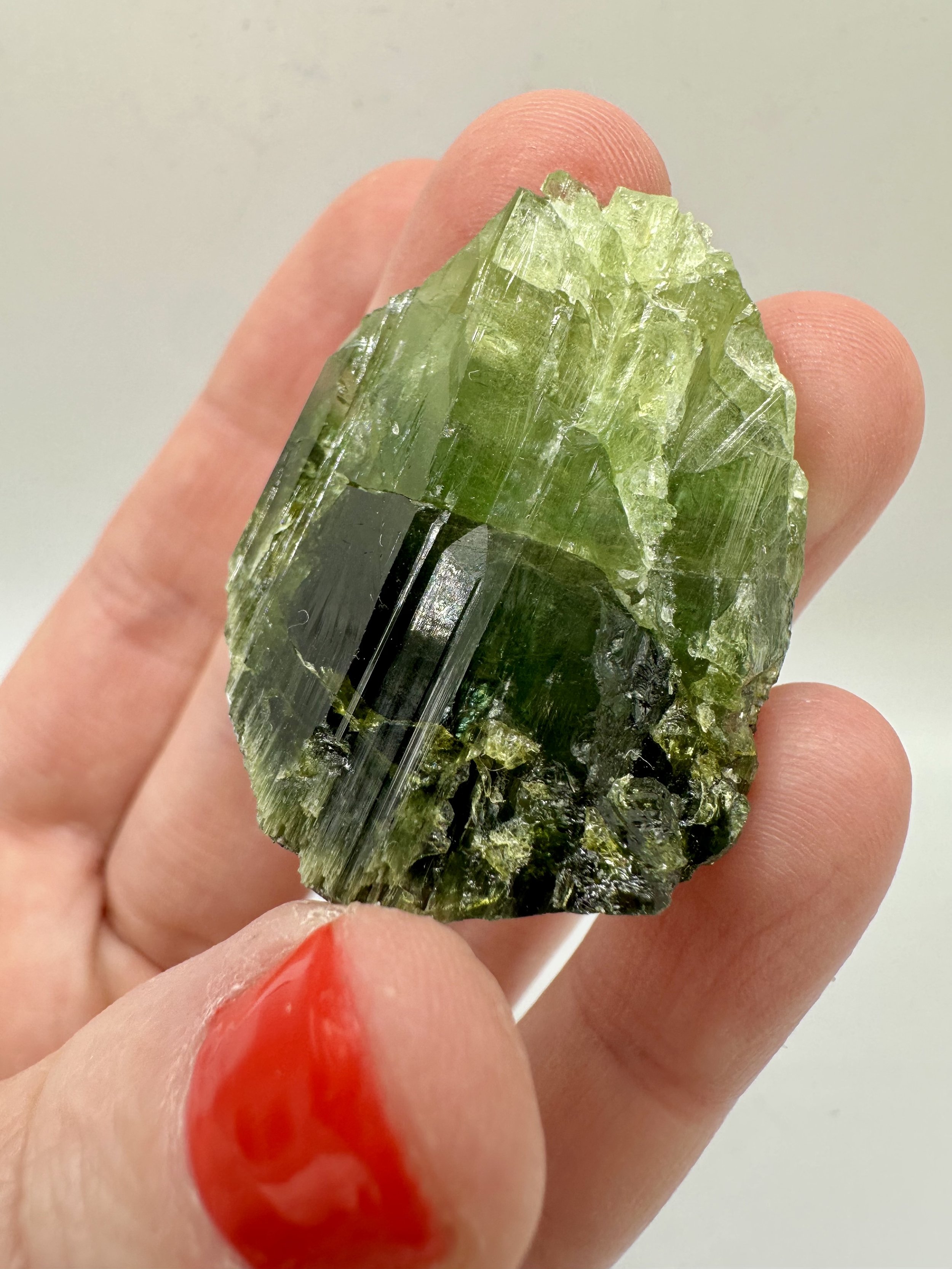 Photo Apr 04 2026, 2 37 32 PM.jpg