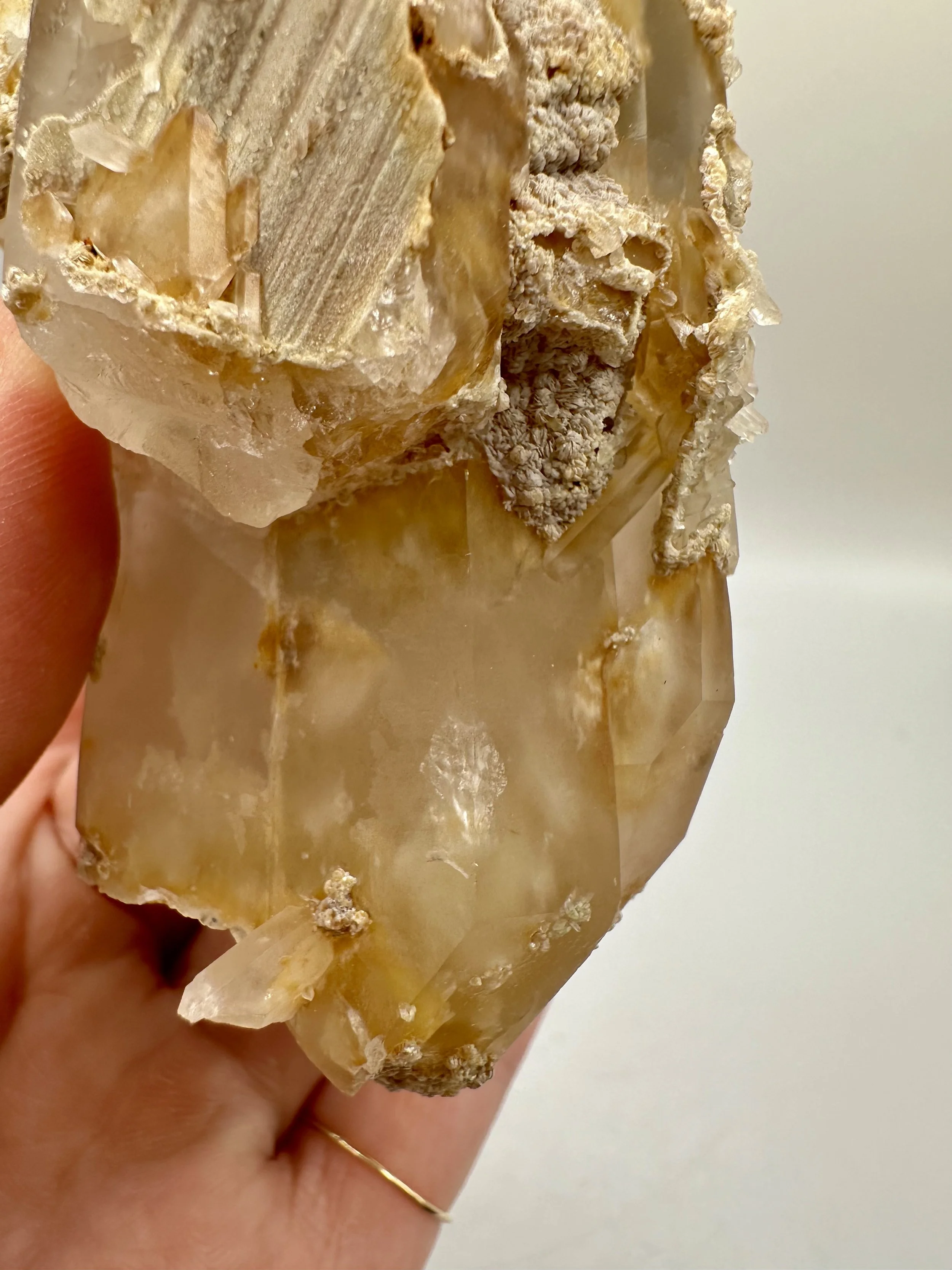 Photo Apr 04 2026, 2 43 09 PM.jpg