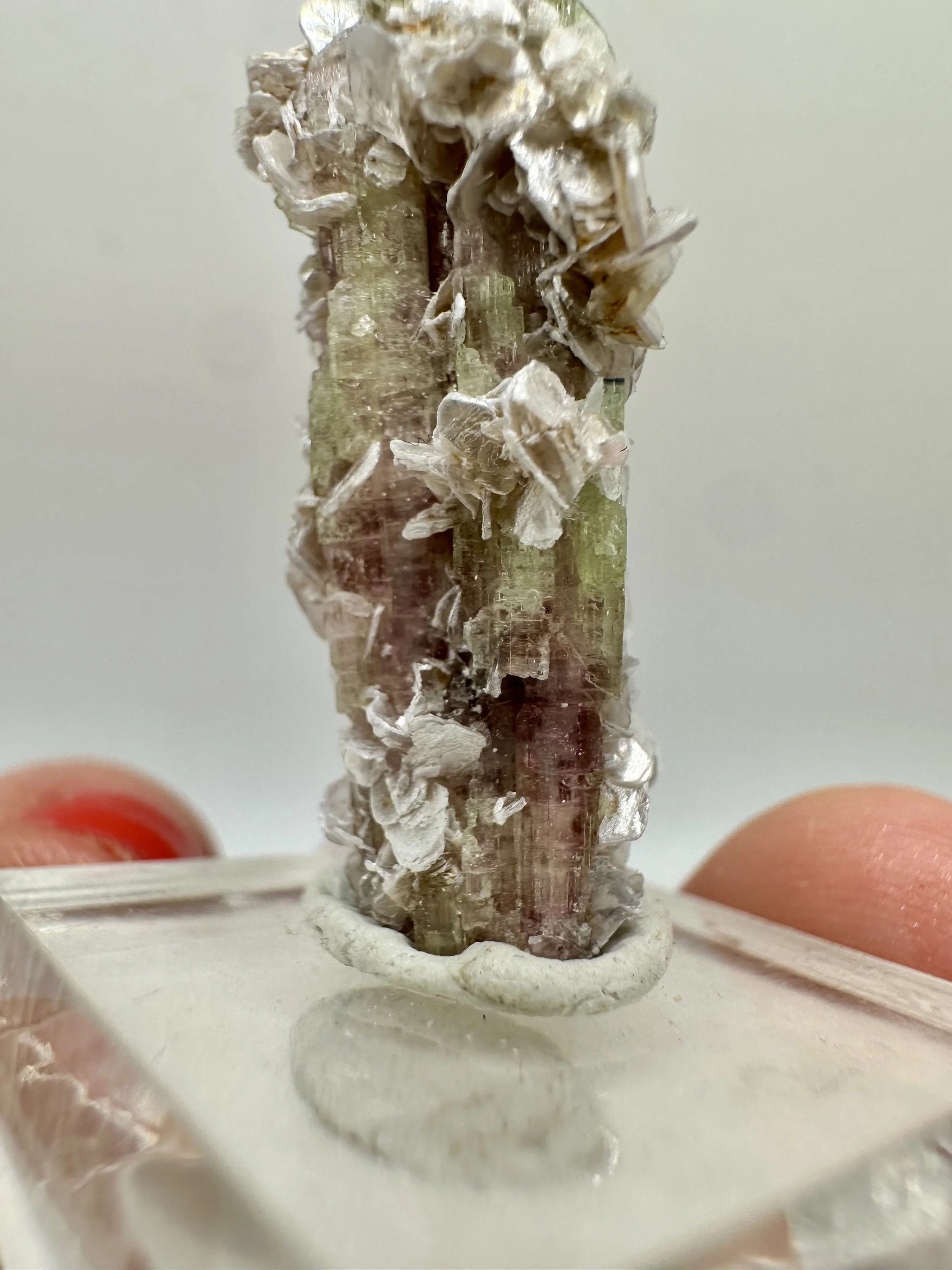 Photo Apr 04 2026, 2 52 53 PM.jpg