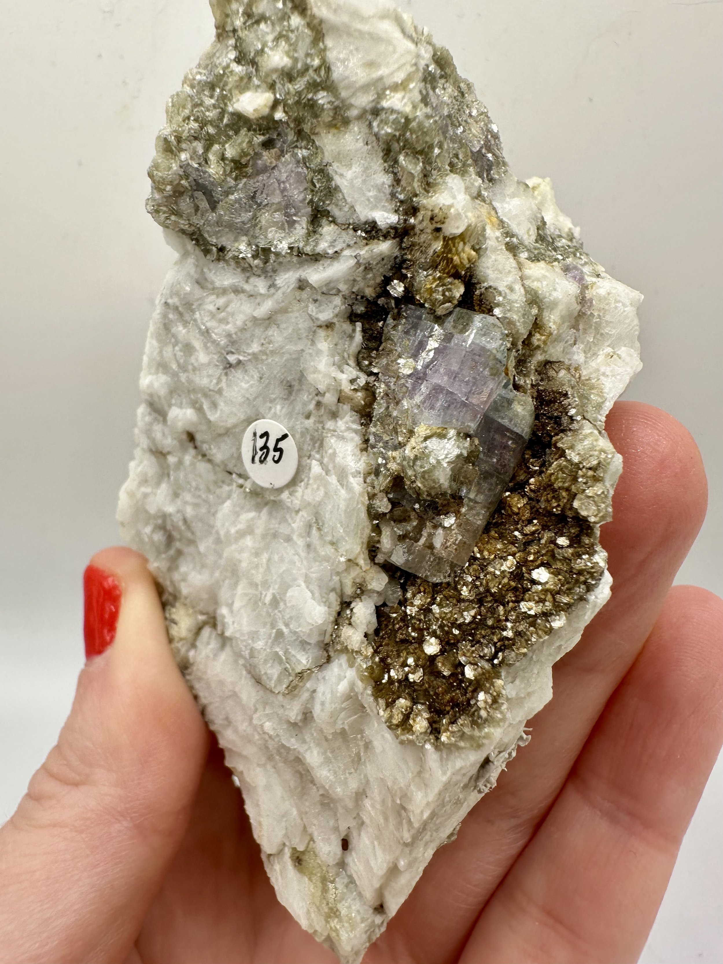 Photo Apr 04 2026, 2 39 43 PM.jpg