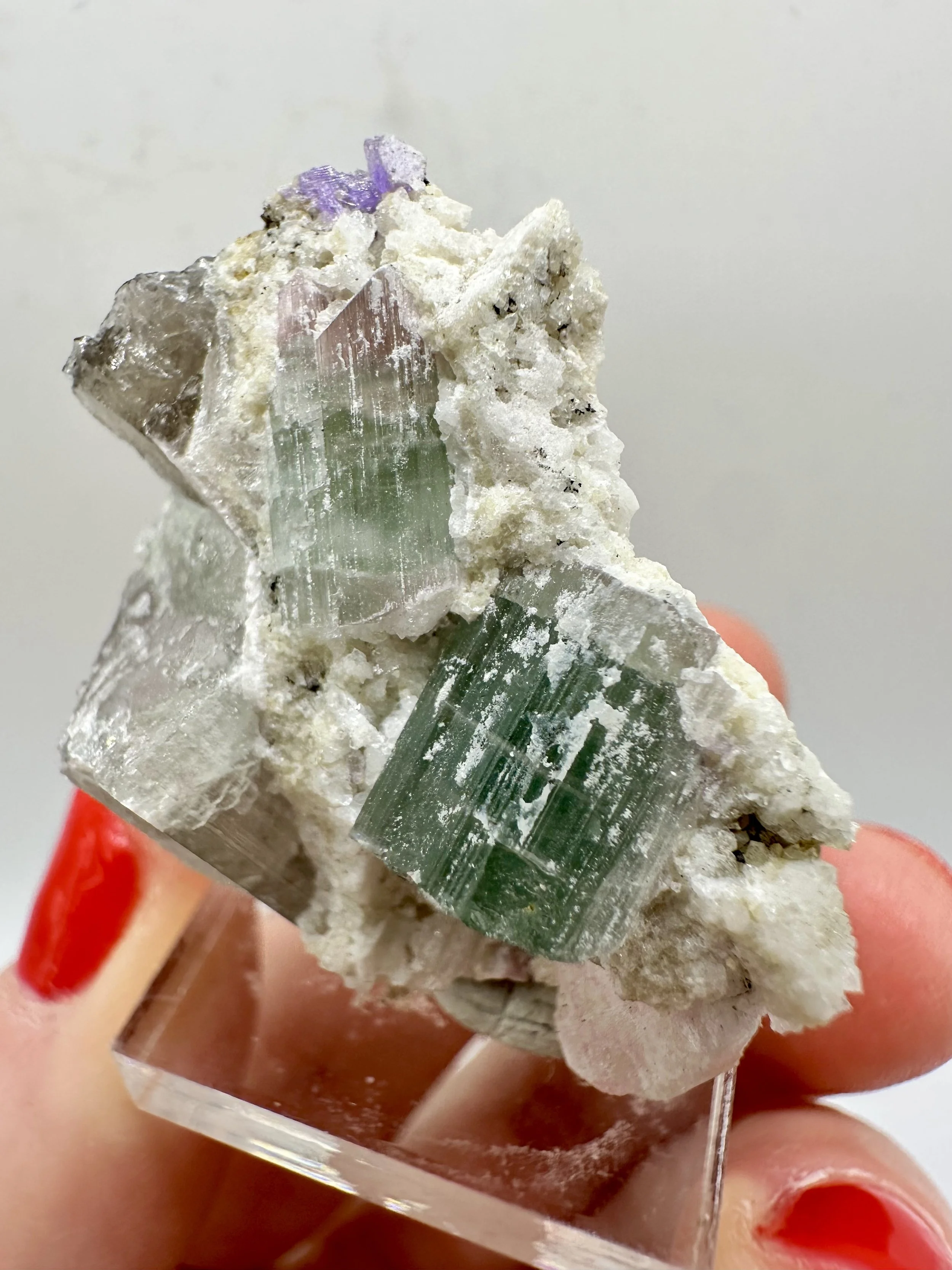 Photo Apr 04 2026, 2 54 32 PM.jpg