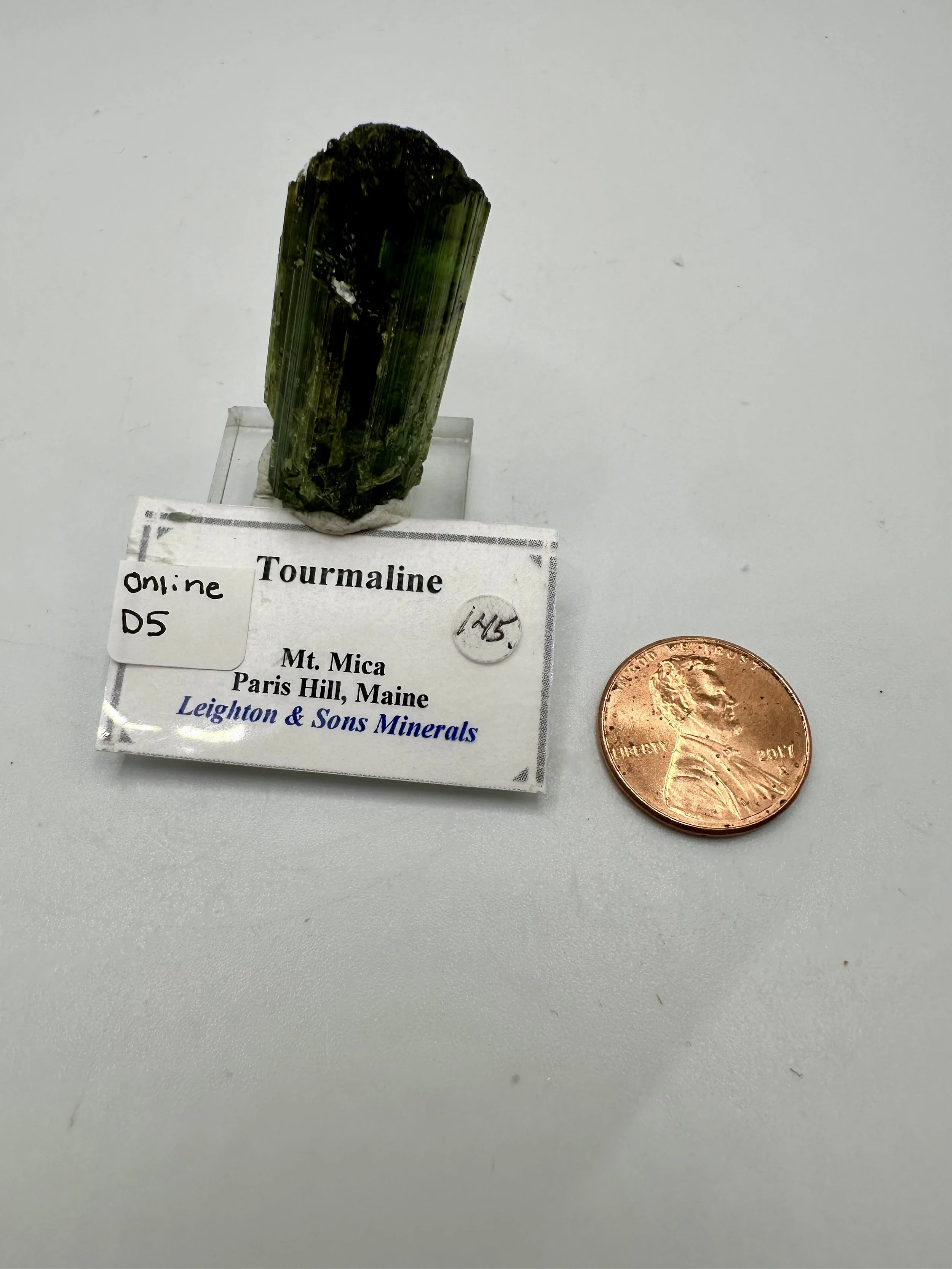 Photo Apr 04 2026, 2 46 45 PM.jpg