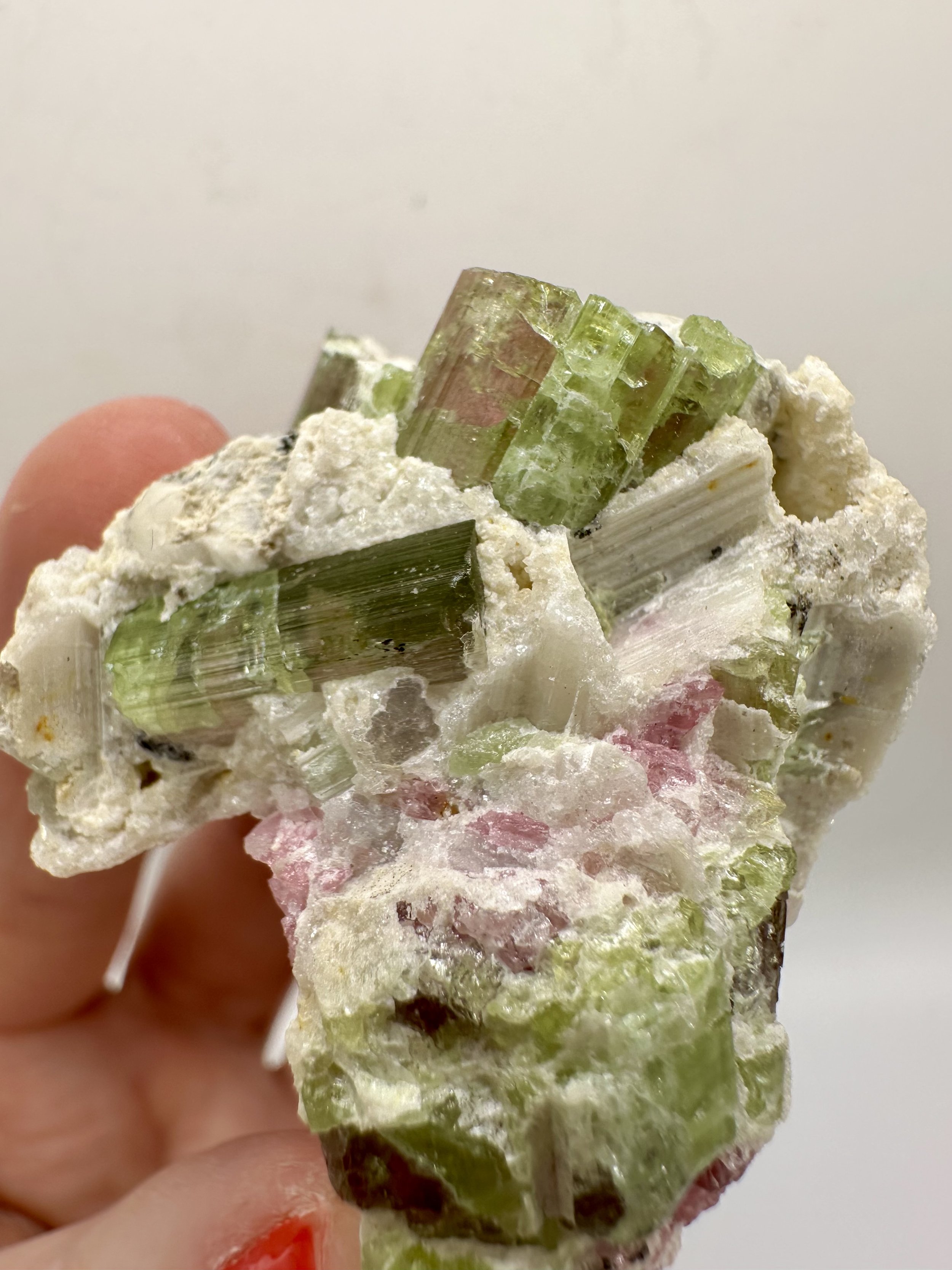 Photo Apr 04 2026, 2 50 16 PM.jpg