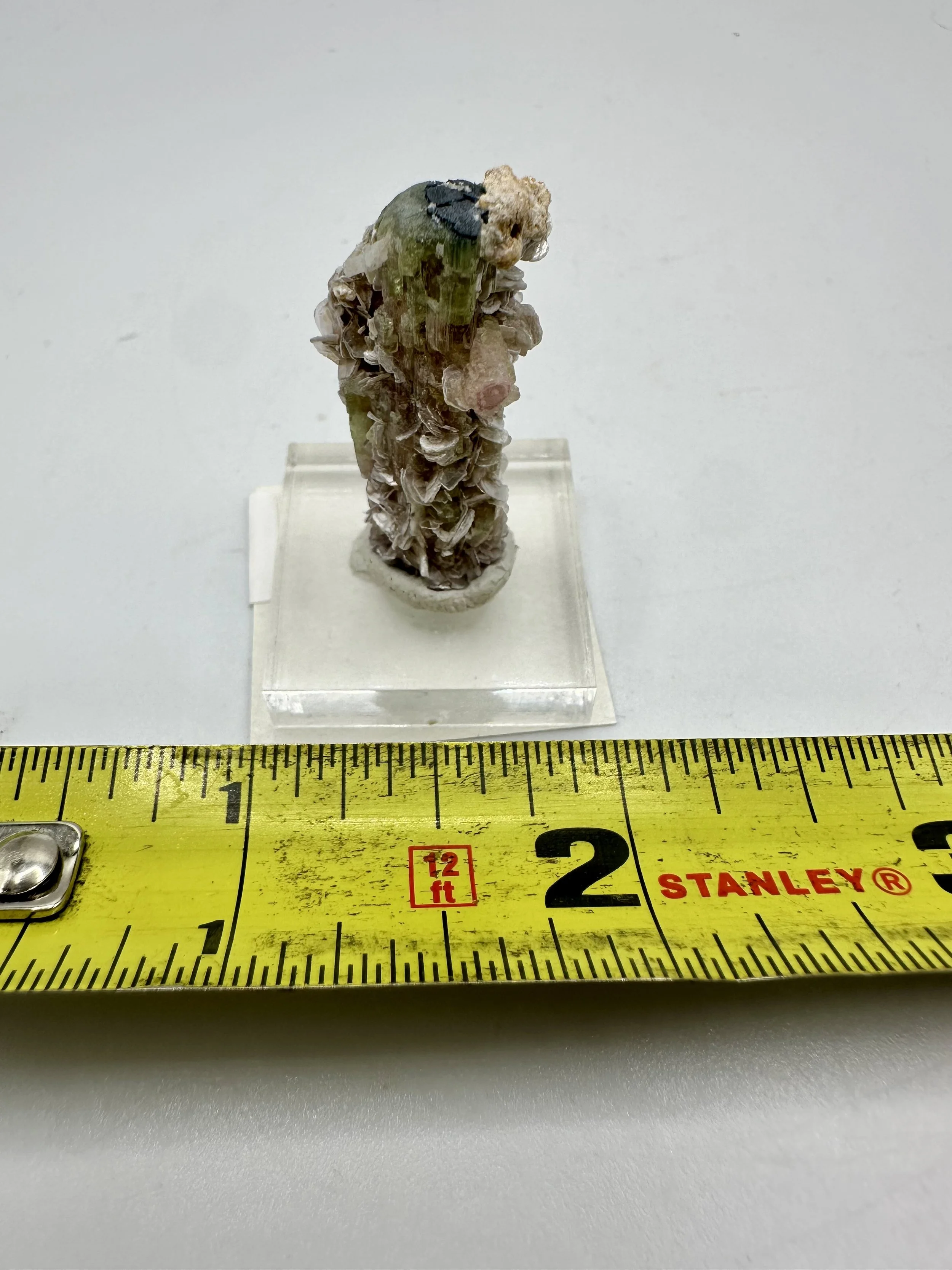 Photo Apr 04 2026, 2 51 45 PM.jpg