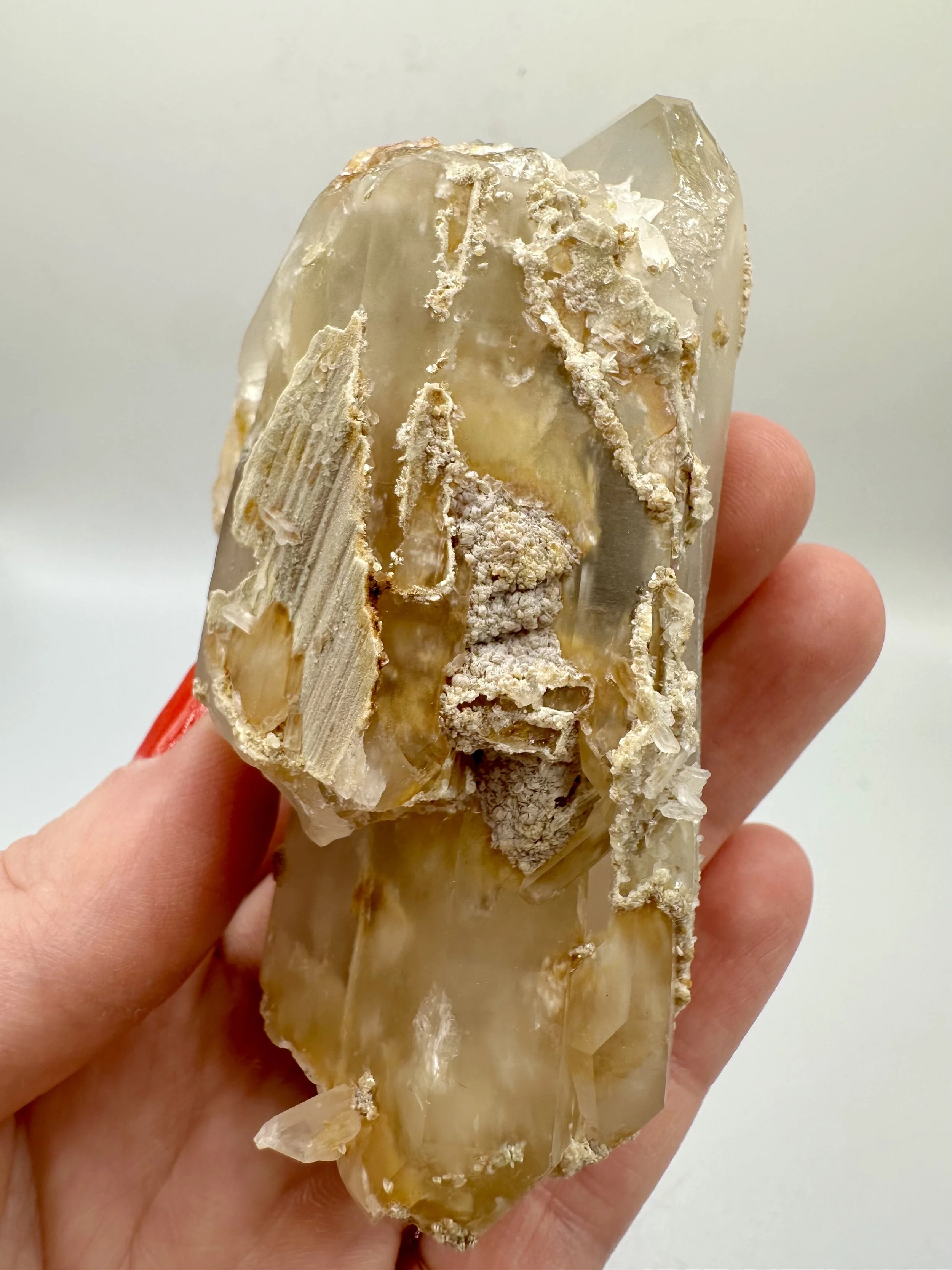 Photo Apr 04 2026, 2 43 06 PM.jpg