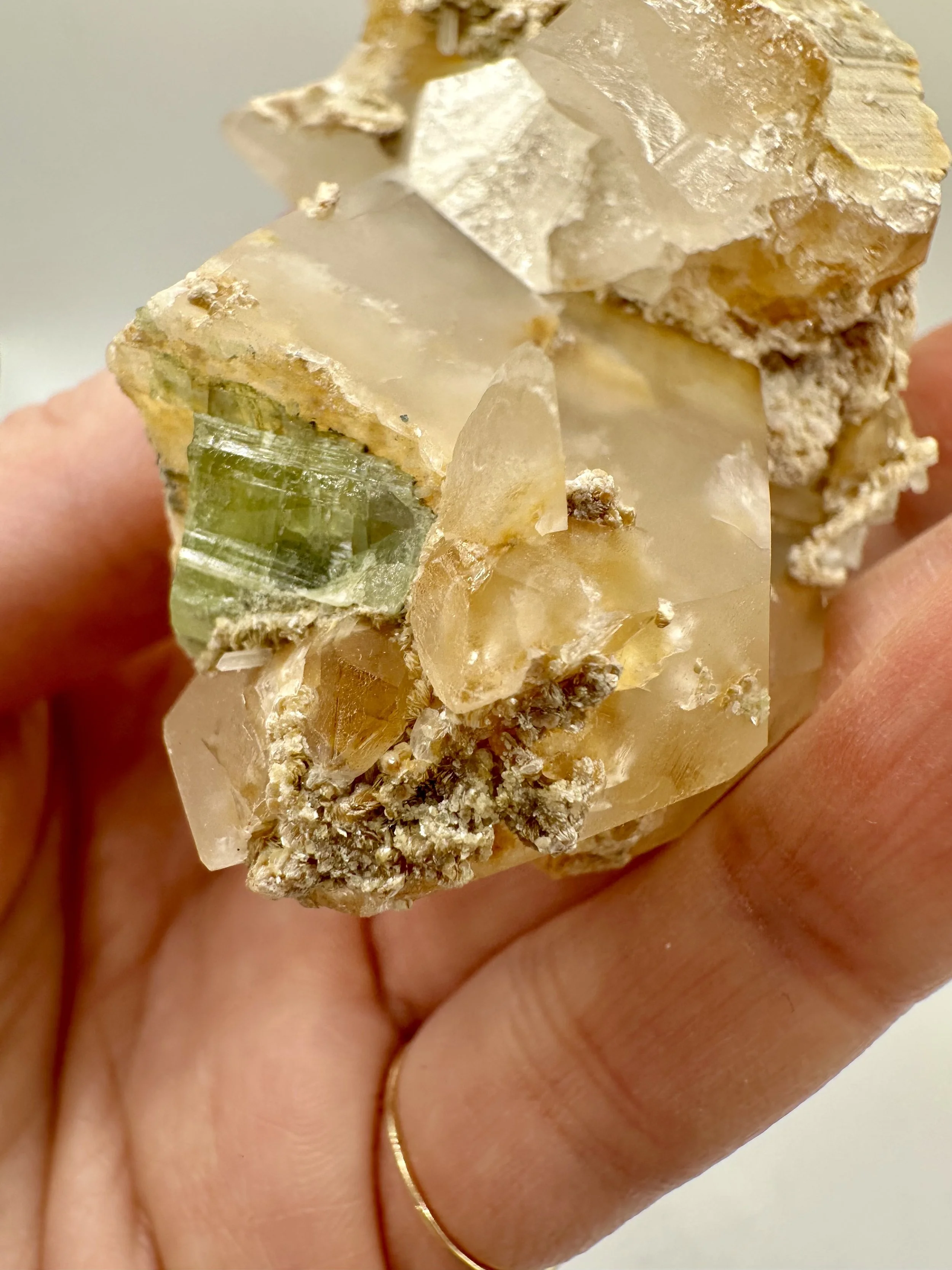 Photo Apr 04 2026, 2 42 56 PM.jpg