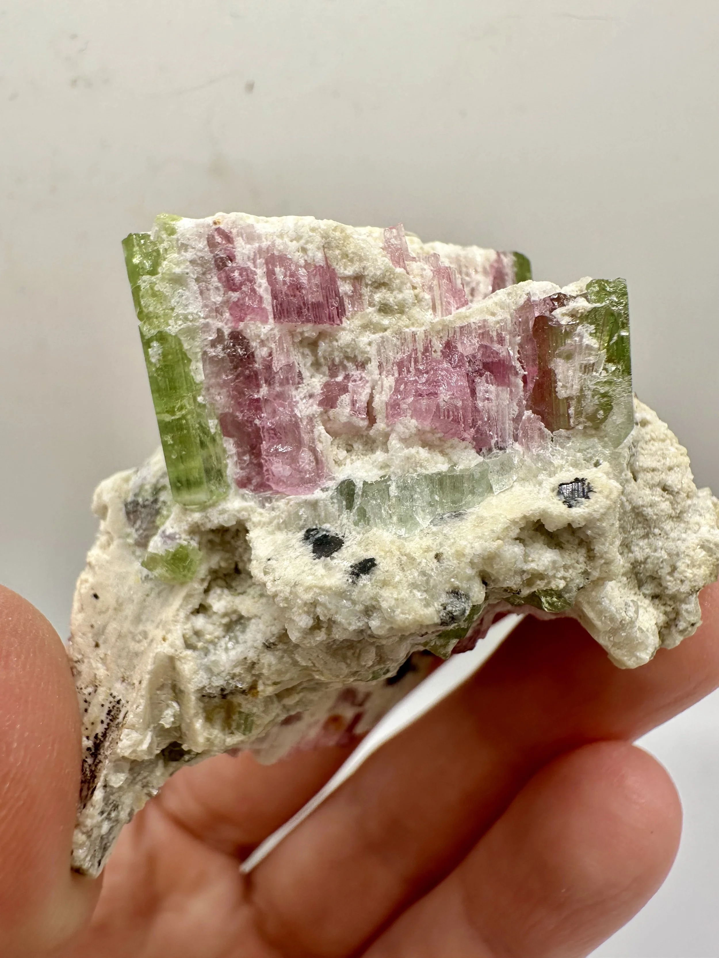 Photo Apr 04 2026, 2 50 34 PM.jpg